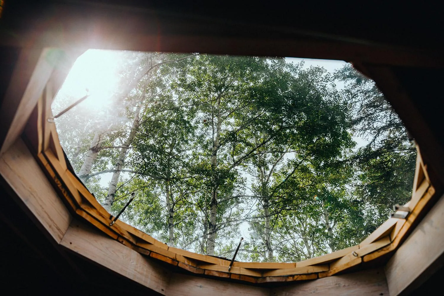 Natural landscape in Canopée Lit