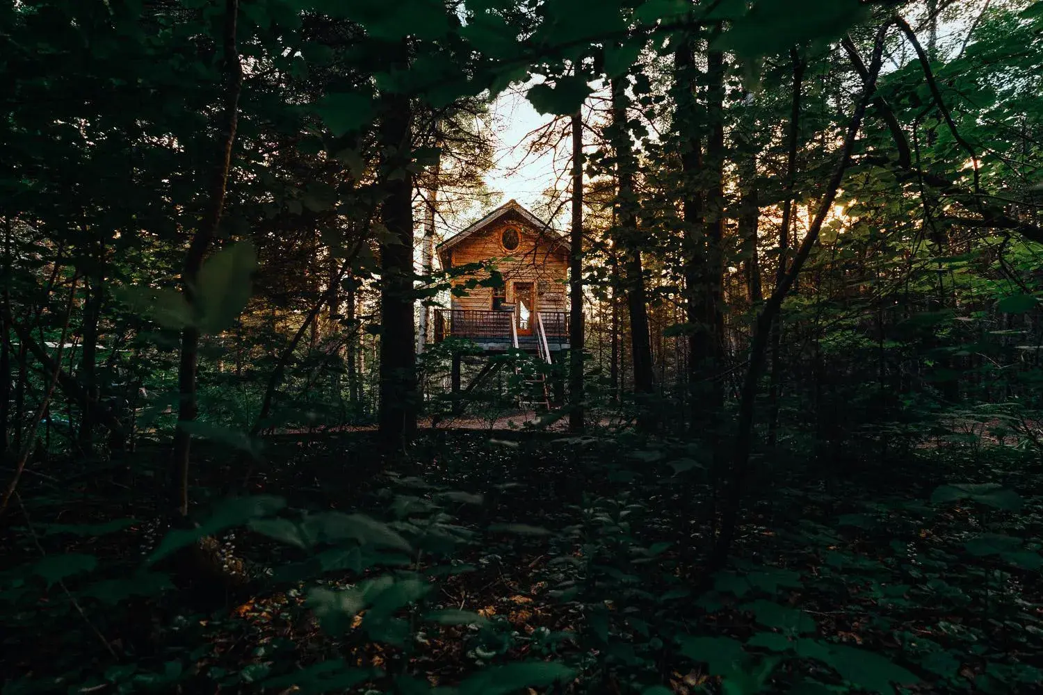 Quadruple Room with Terrace in Canopée Lit Quadruple Room with Terrace in Canopée Lit