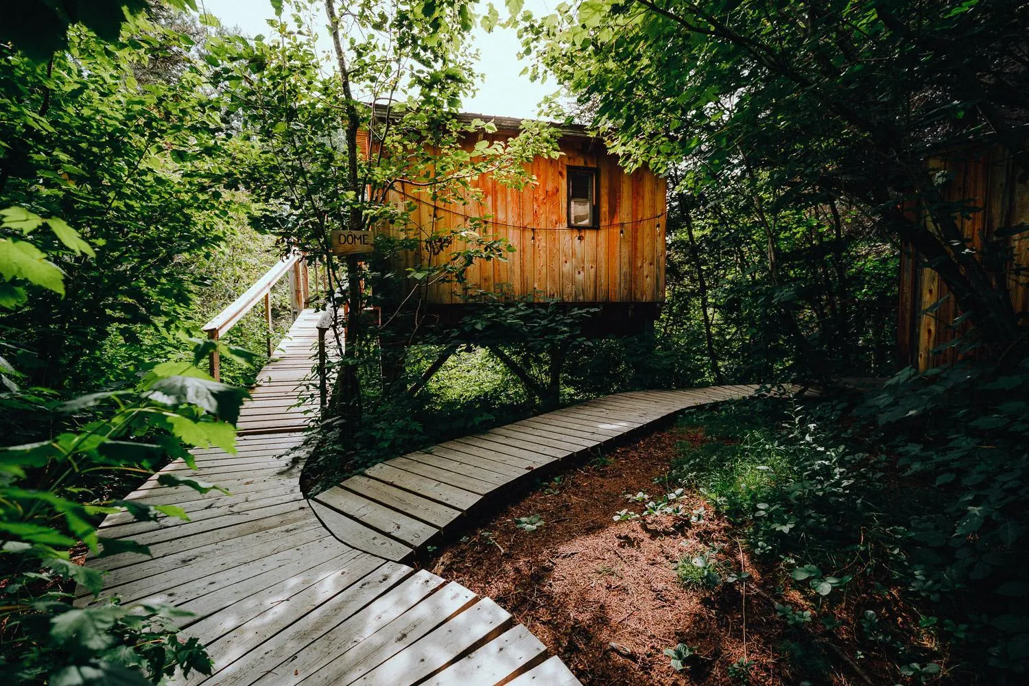 Natural landscape in Canopée Lit