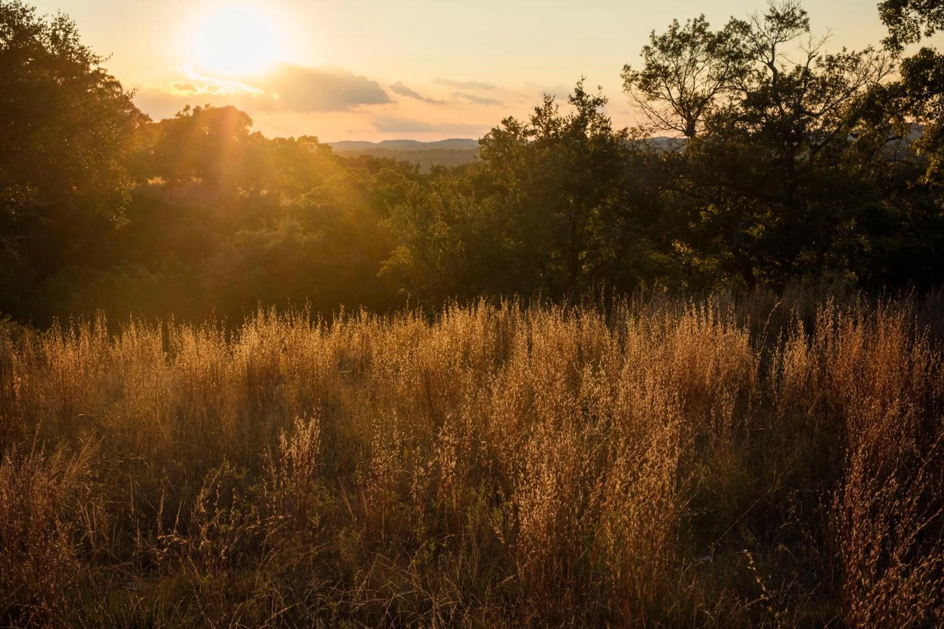 Landmark view in Joshua Creek Ranch