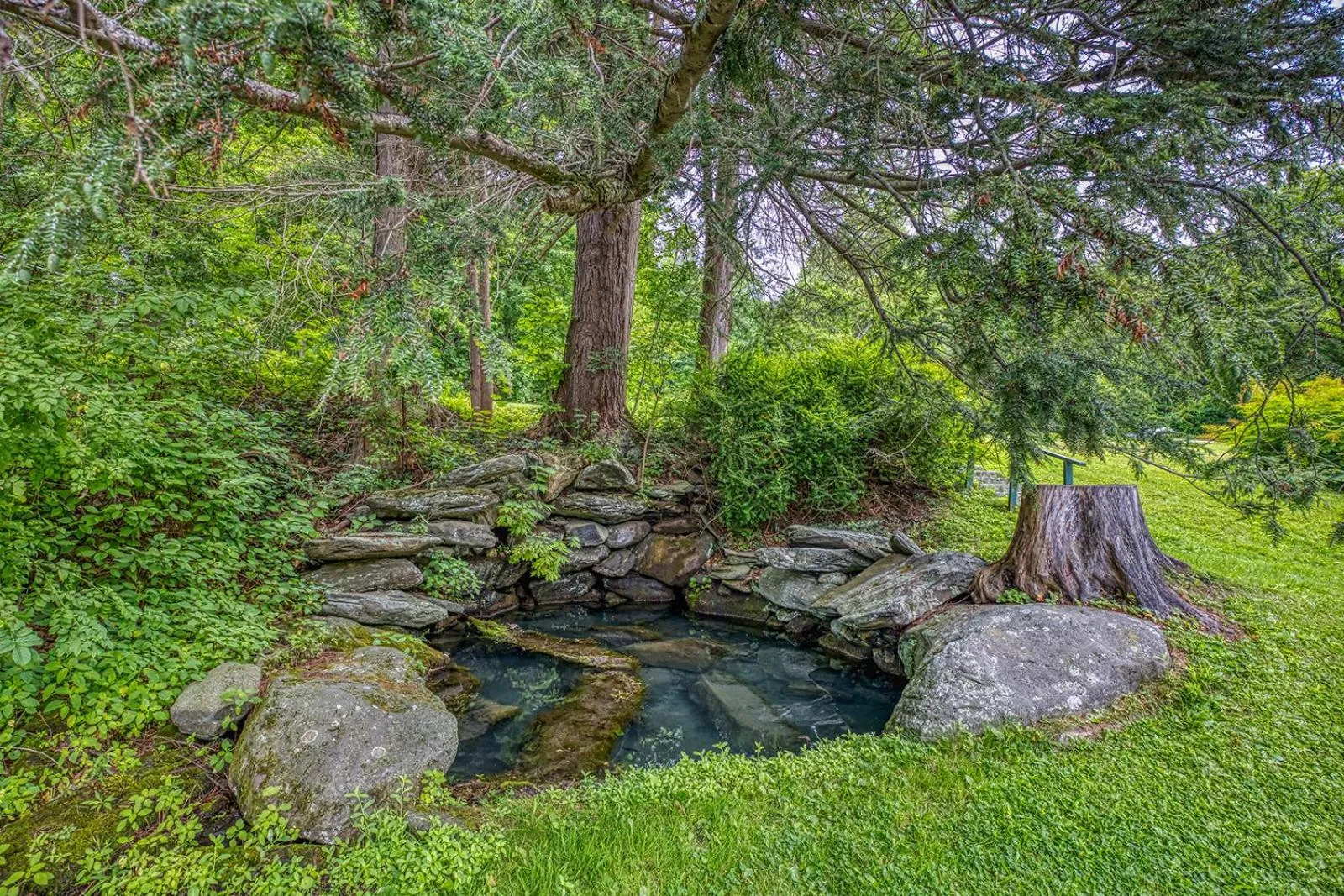 Garden in Apple Tree Inn