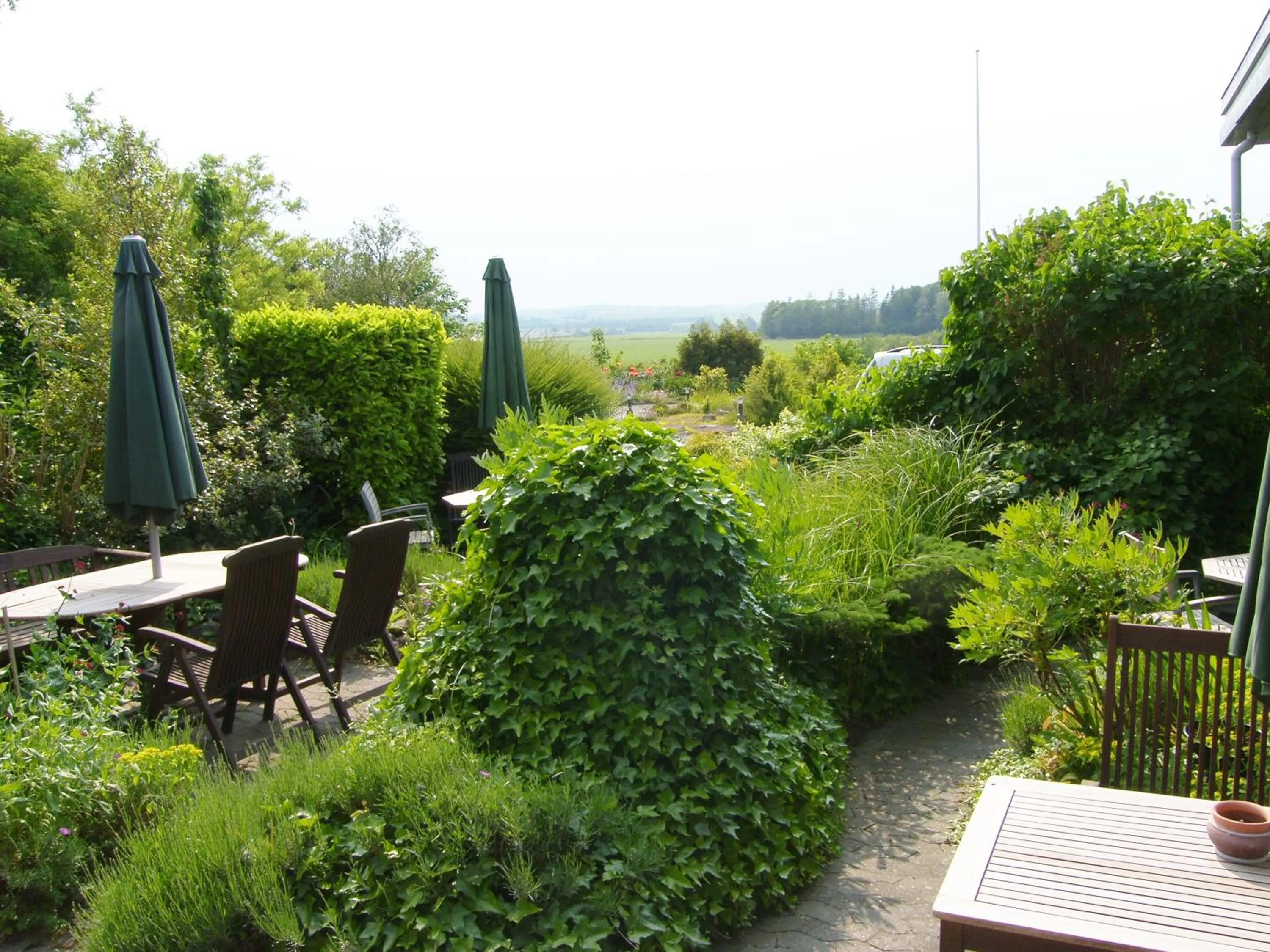 Day in Møn Klintholm Vintage B&B