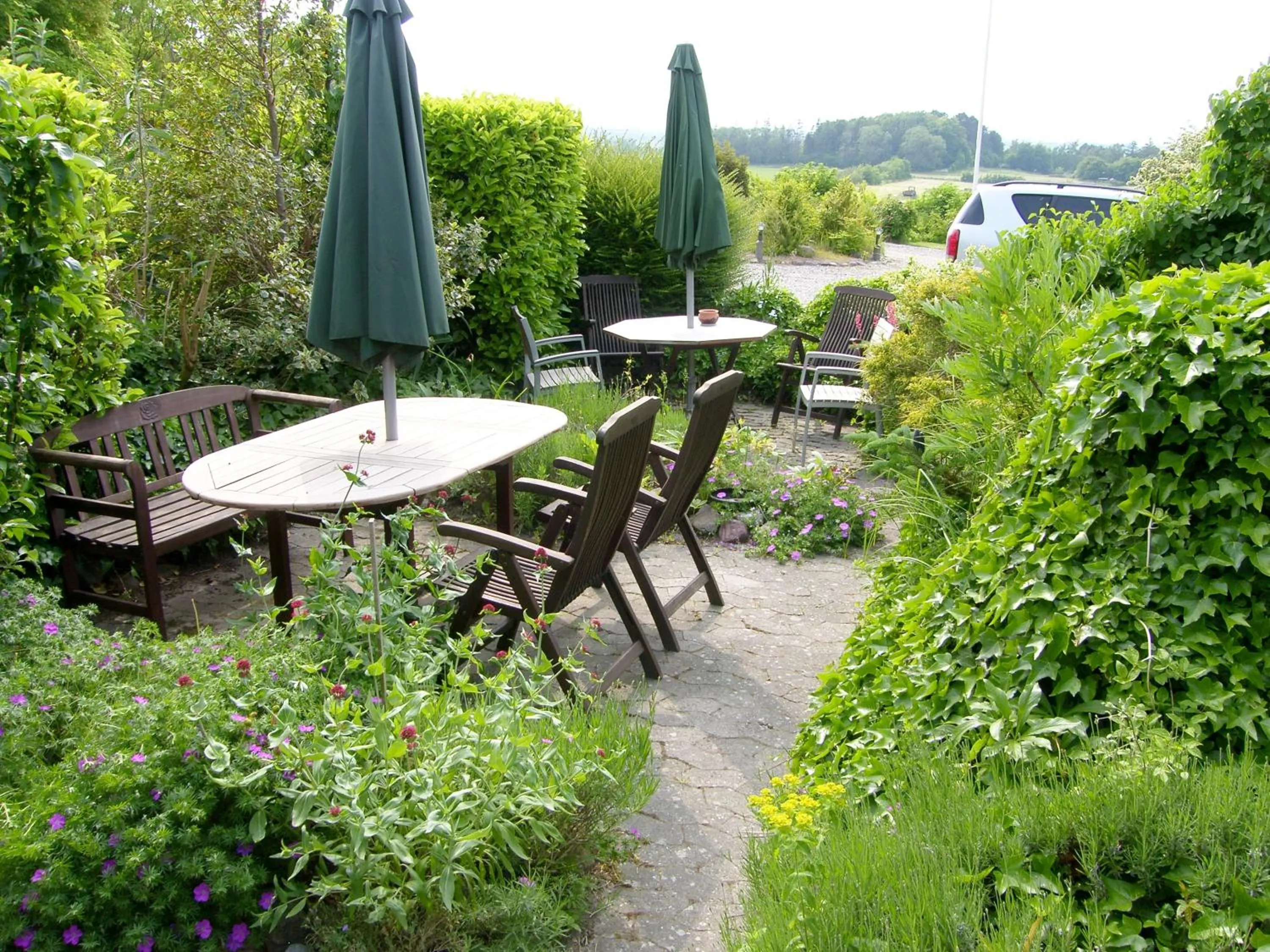 Day in Møn Klintholm Vintage B&B