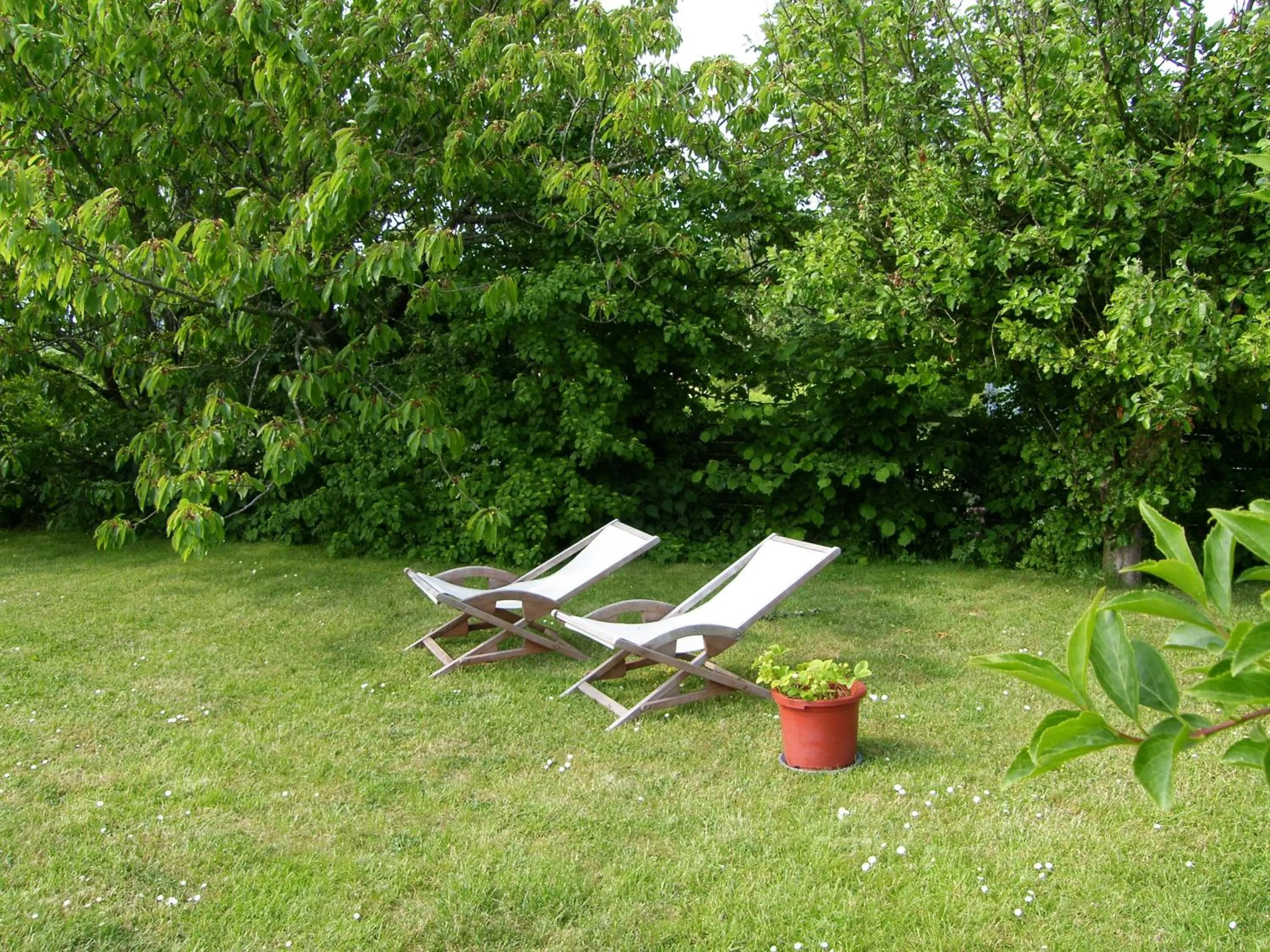 Day in Møn Klintholm Vintage B&B