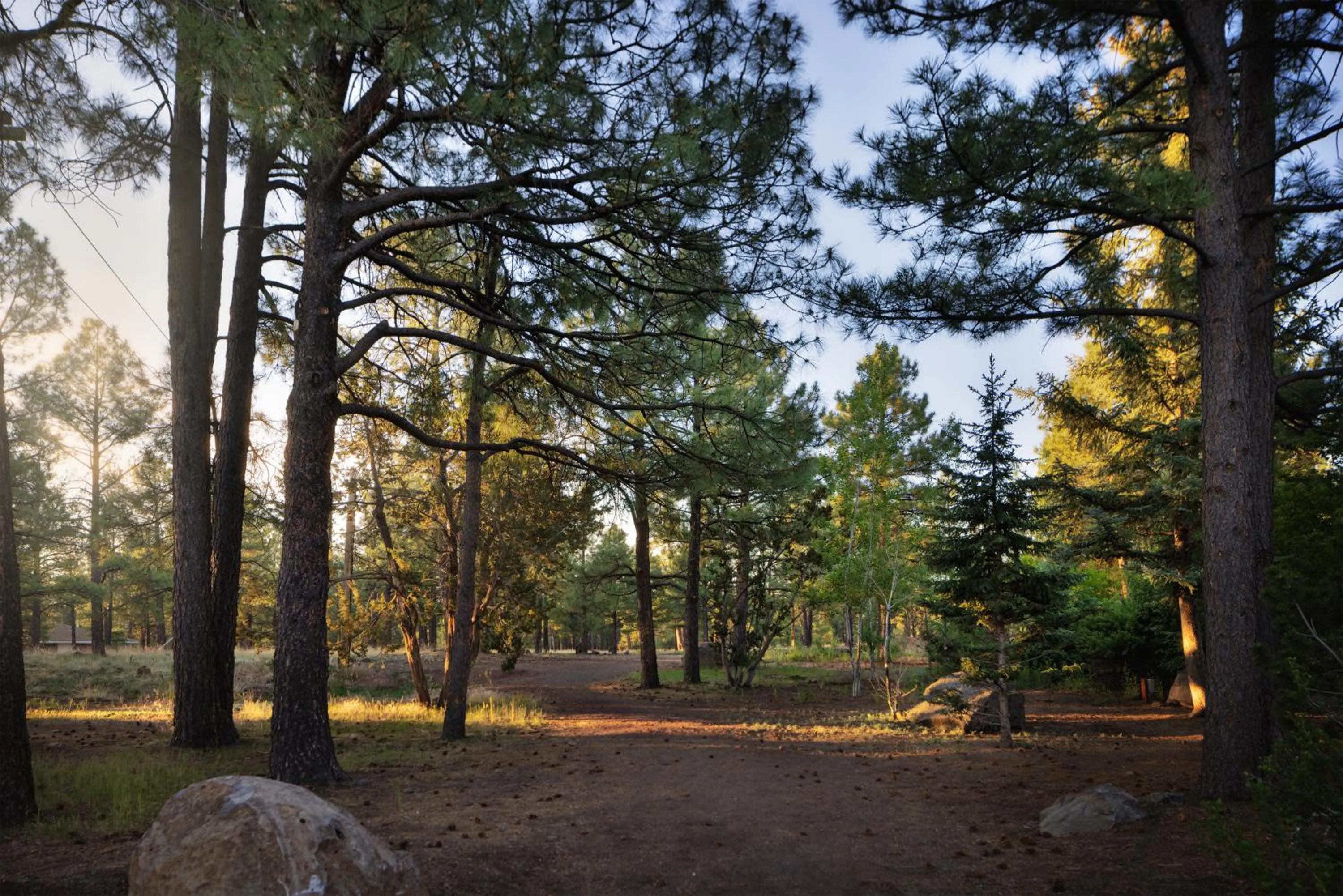 Little America Hotel Flagstaff