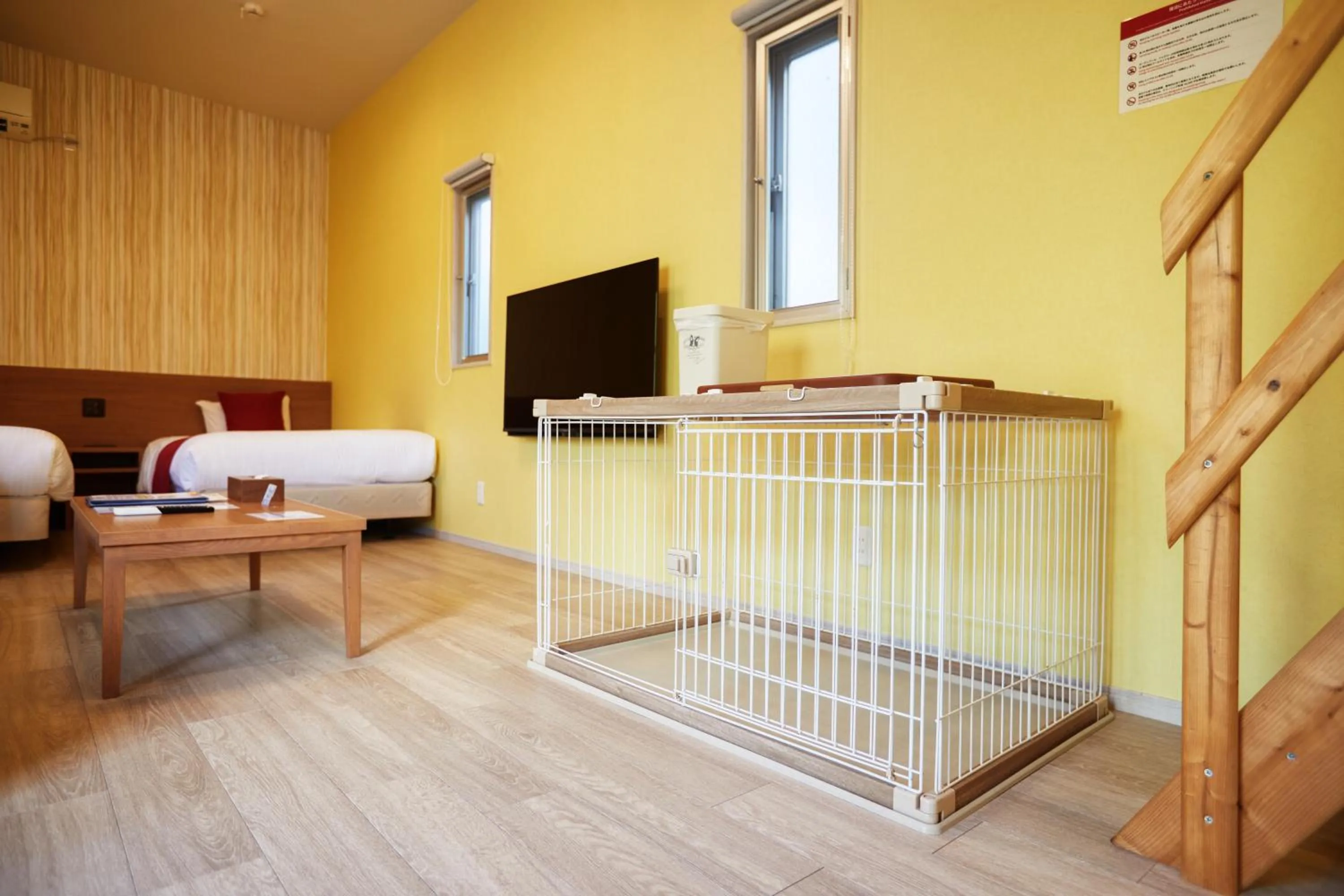 Animals, Bed in The Pool Resort OKINAWA