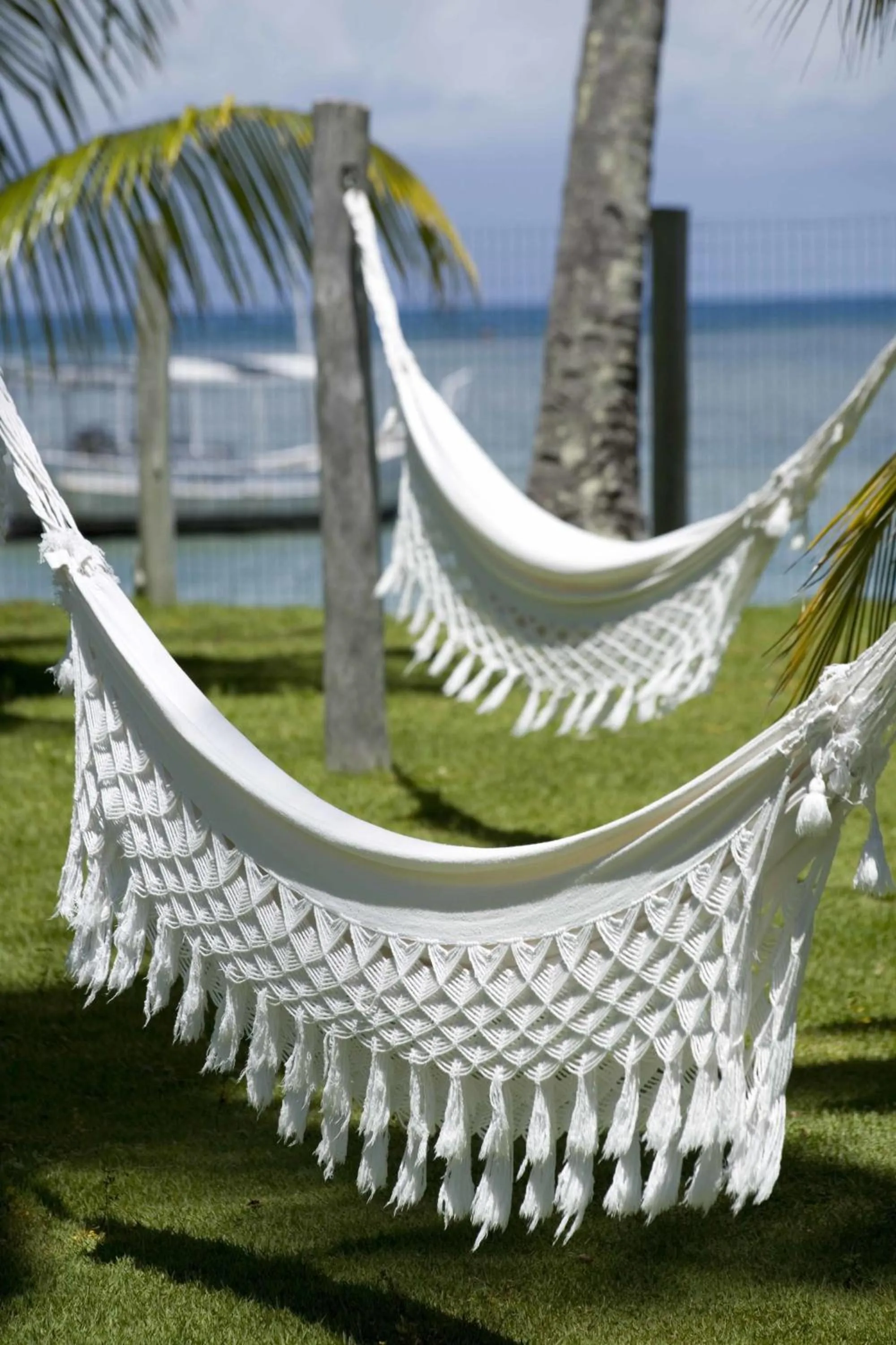 Garden in Patachocas