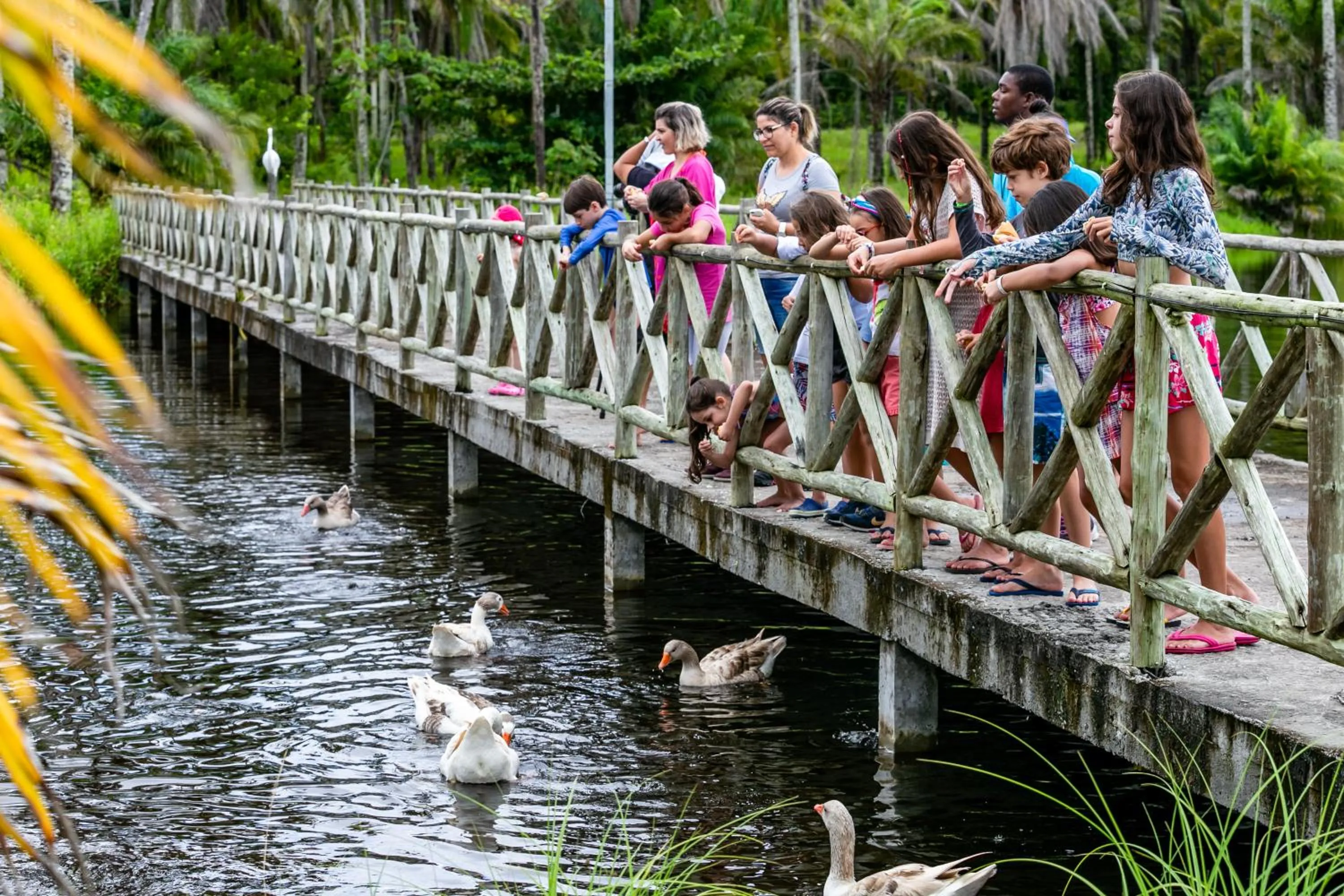 Garden in Patachocas