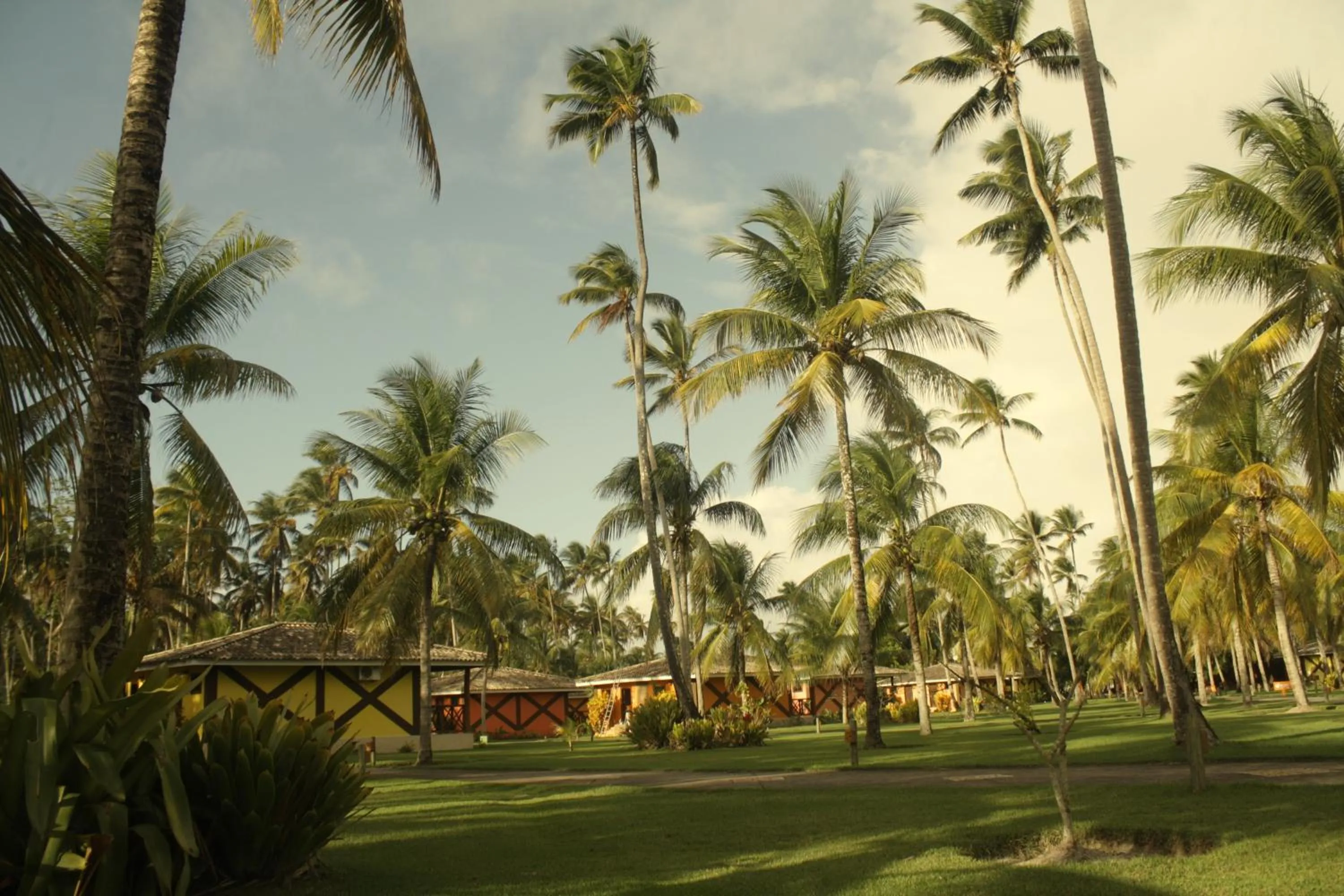 City view in Patachocas