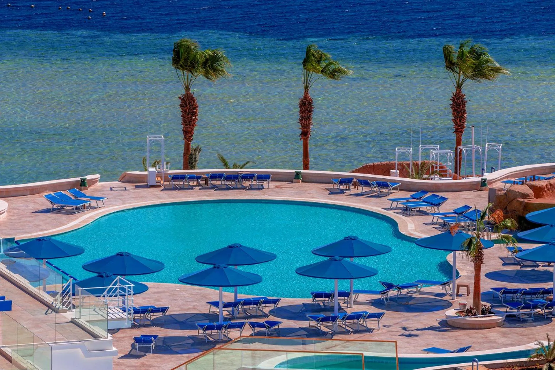 Swimming pool in Pickalbatros Palace Sharm "Aqua Park"- All inclusive
