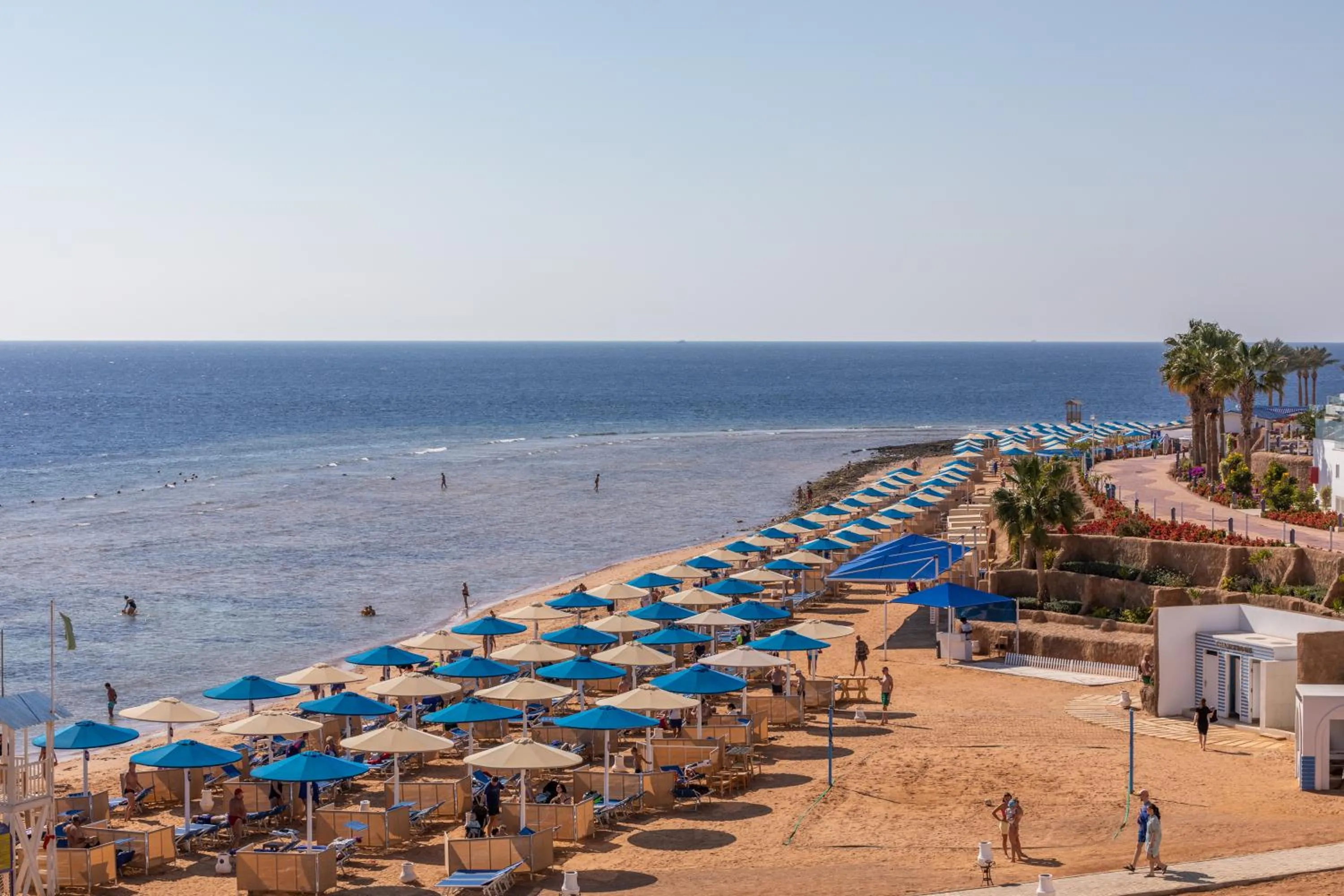 Beach in Pickalbatros Palace Sharm "Aqua Park"- All inclusive