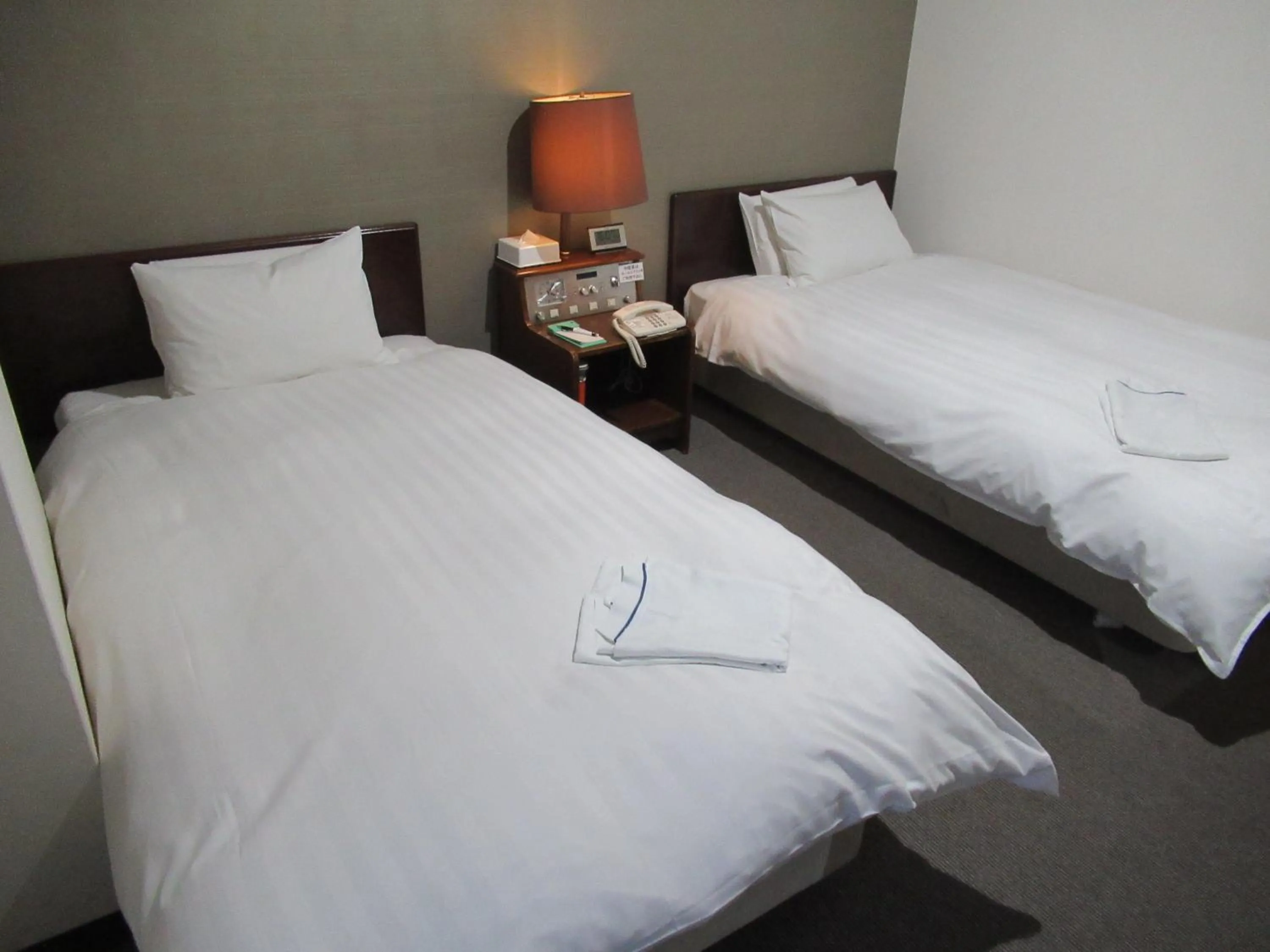 Photo of the whole room, Bed in Hotel Tomakomai Green Hills