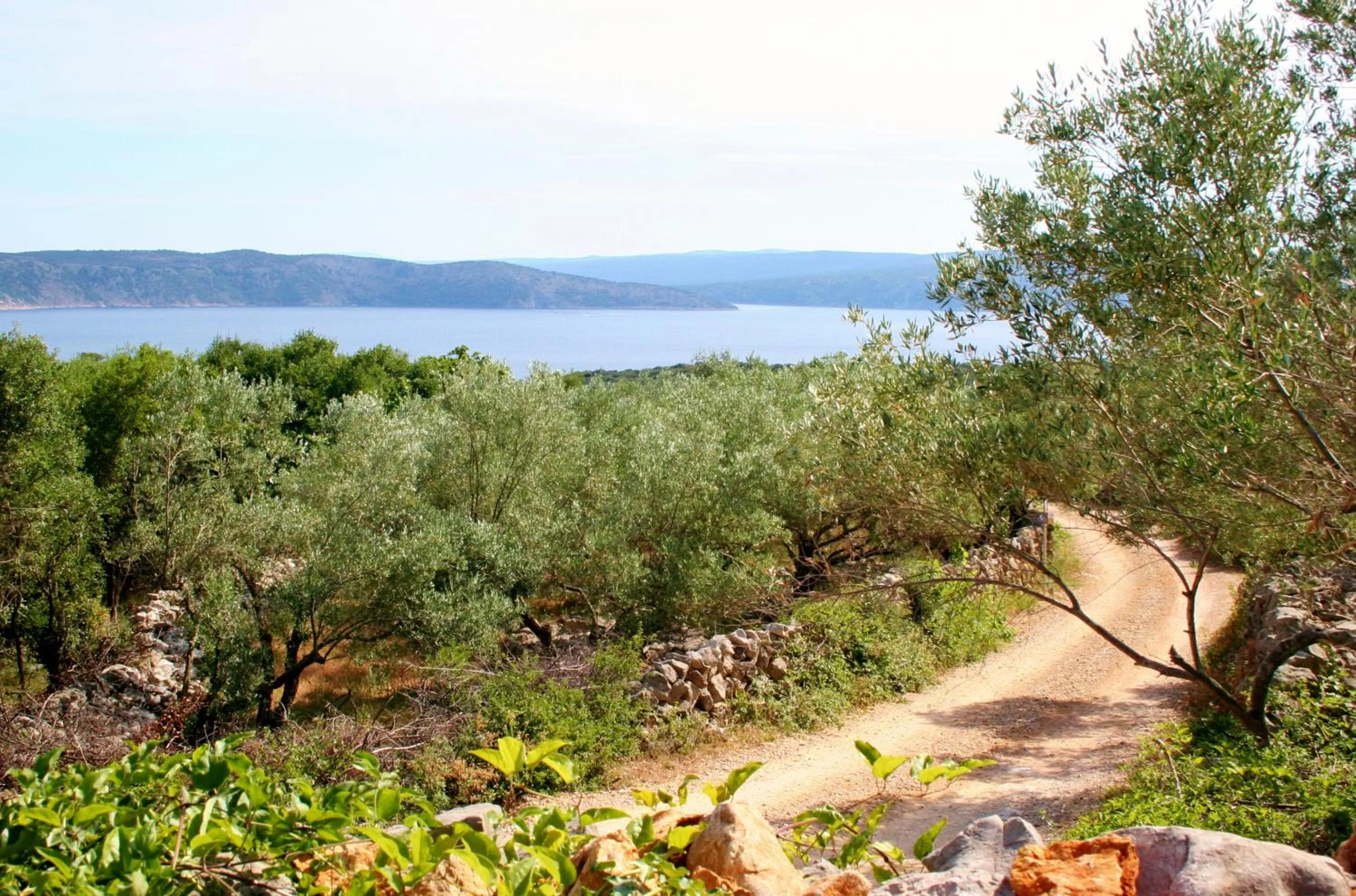 Natural landscape in Boutique B&B Agroturizam Sv. Juraj