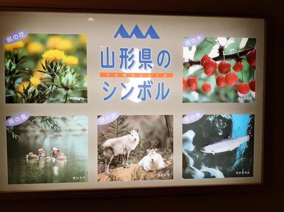 Seasons in Hotel BB Fast Sakuranbo Higashine