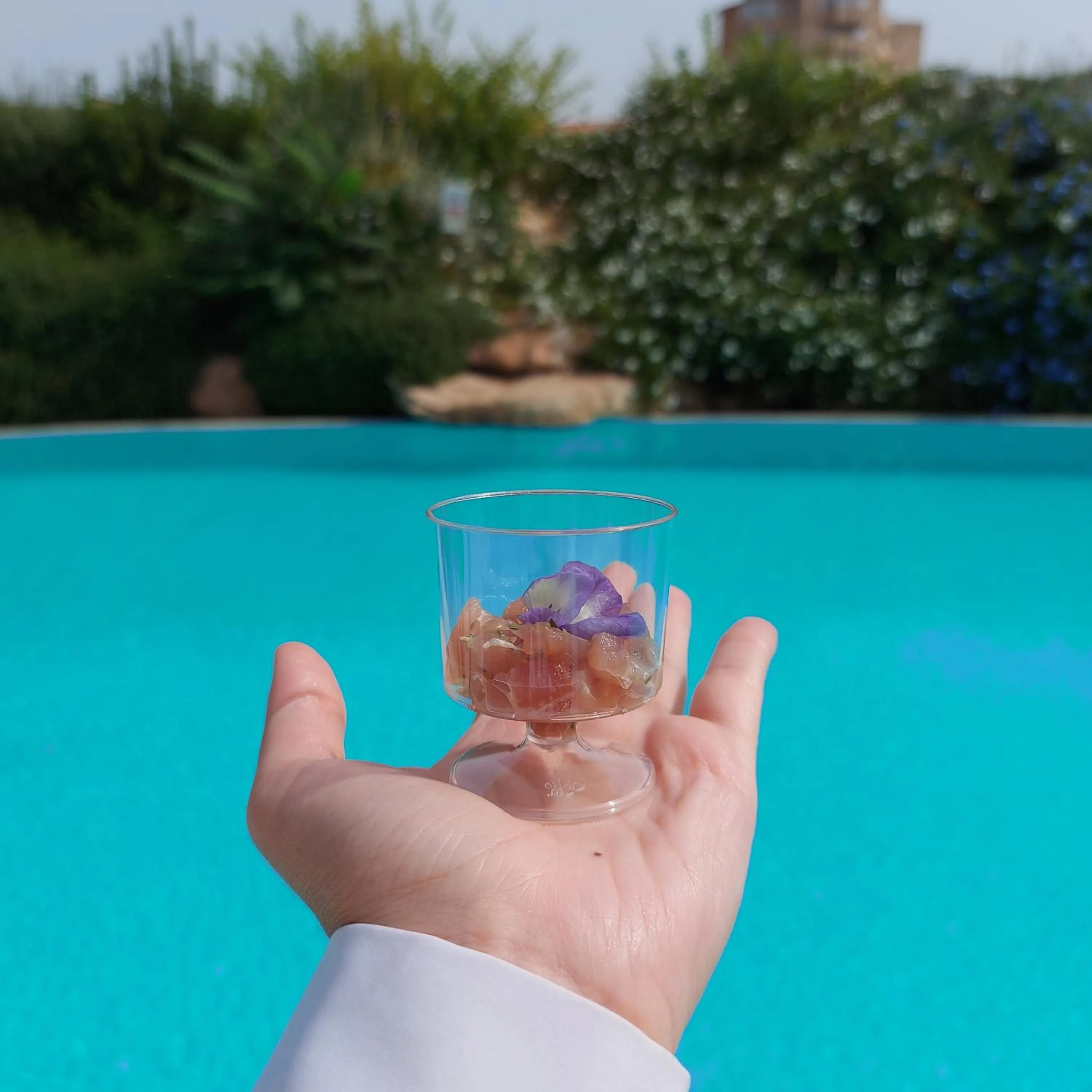 Food close-up in Mercure Olbia