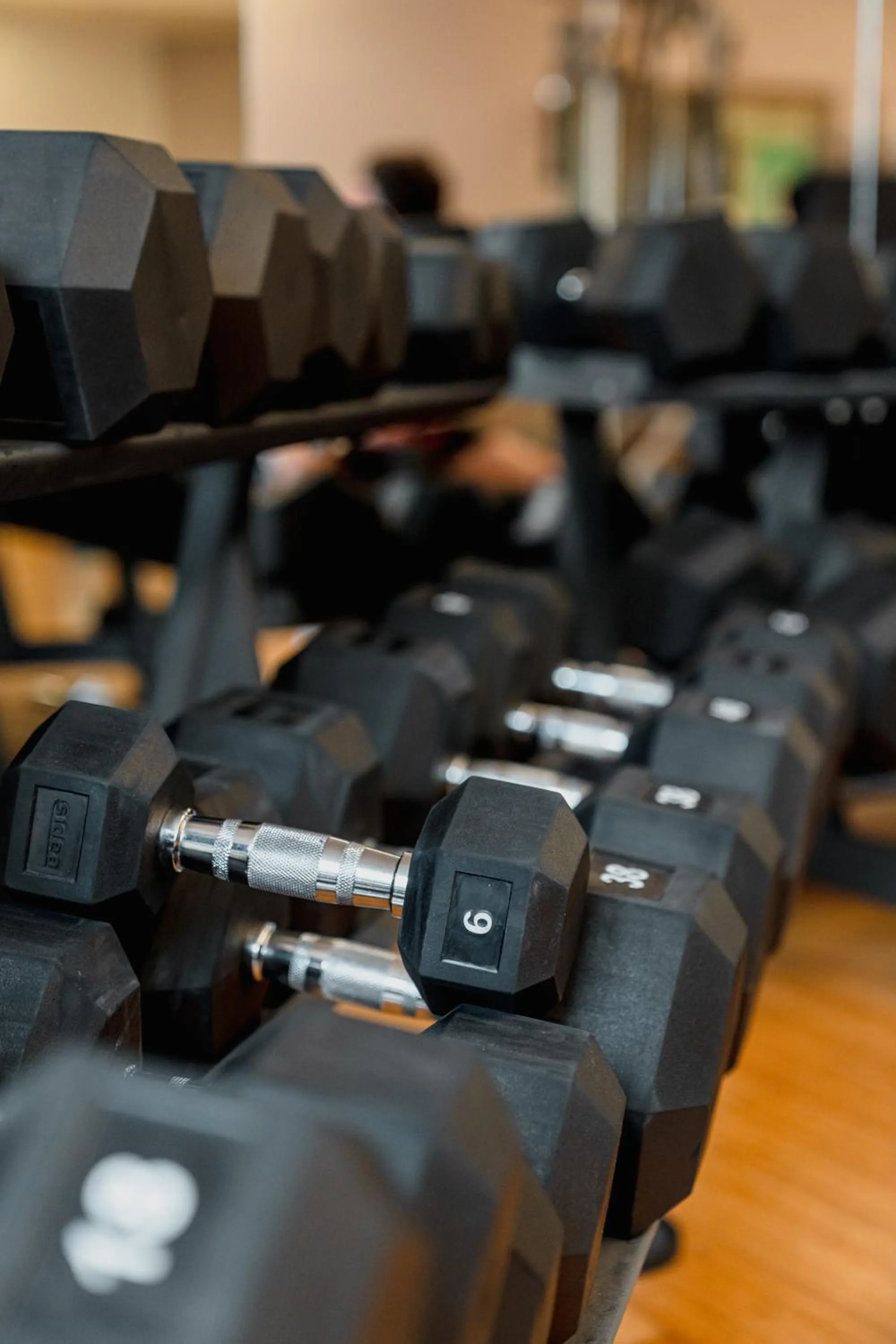 Fitness centre/facilities in Mercure Olbia
