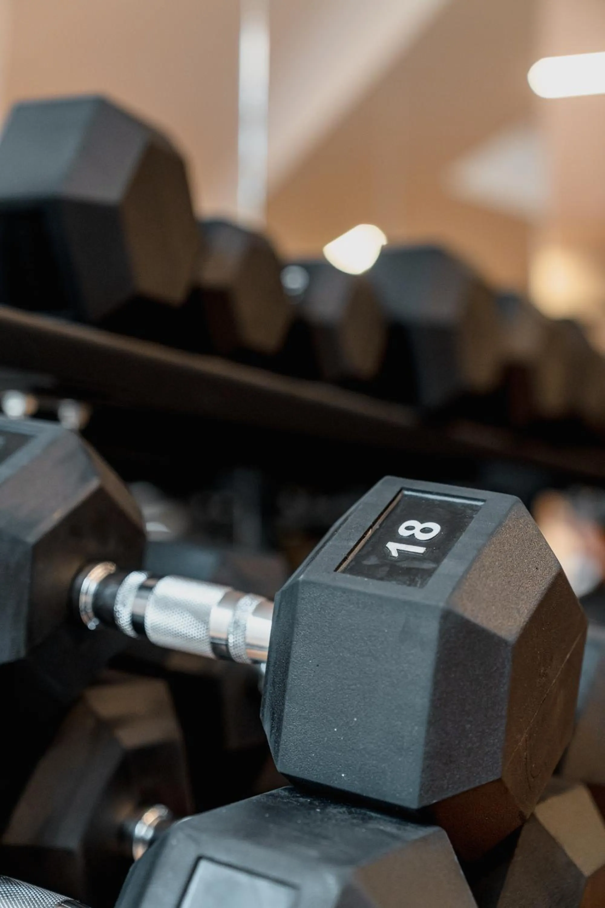 Fitness centre/facilities in Mercure Olbia