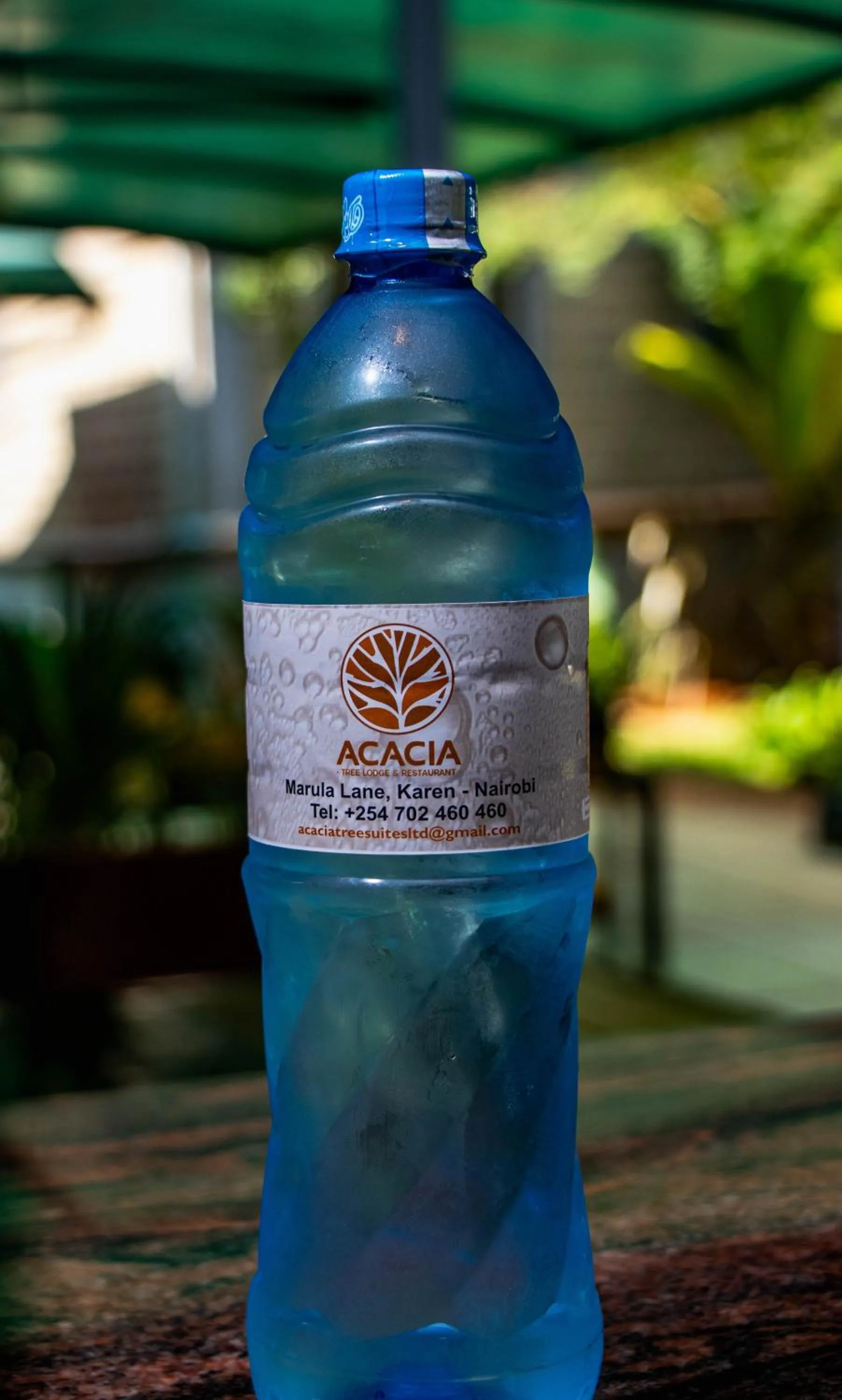 Drinks in Acacia Tree Lodge