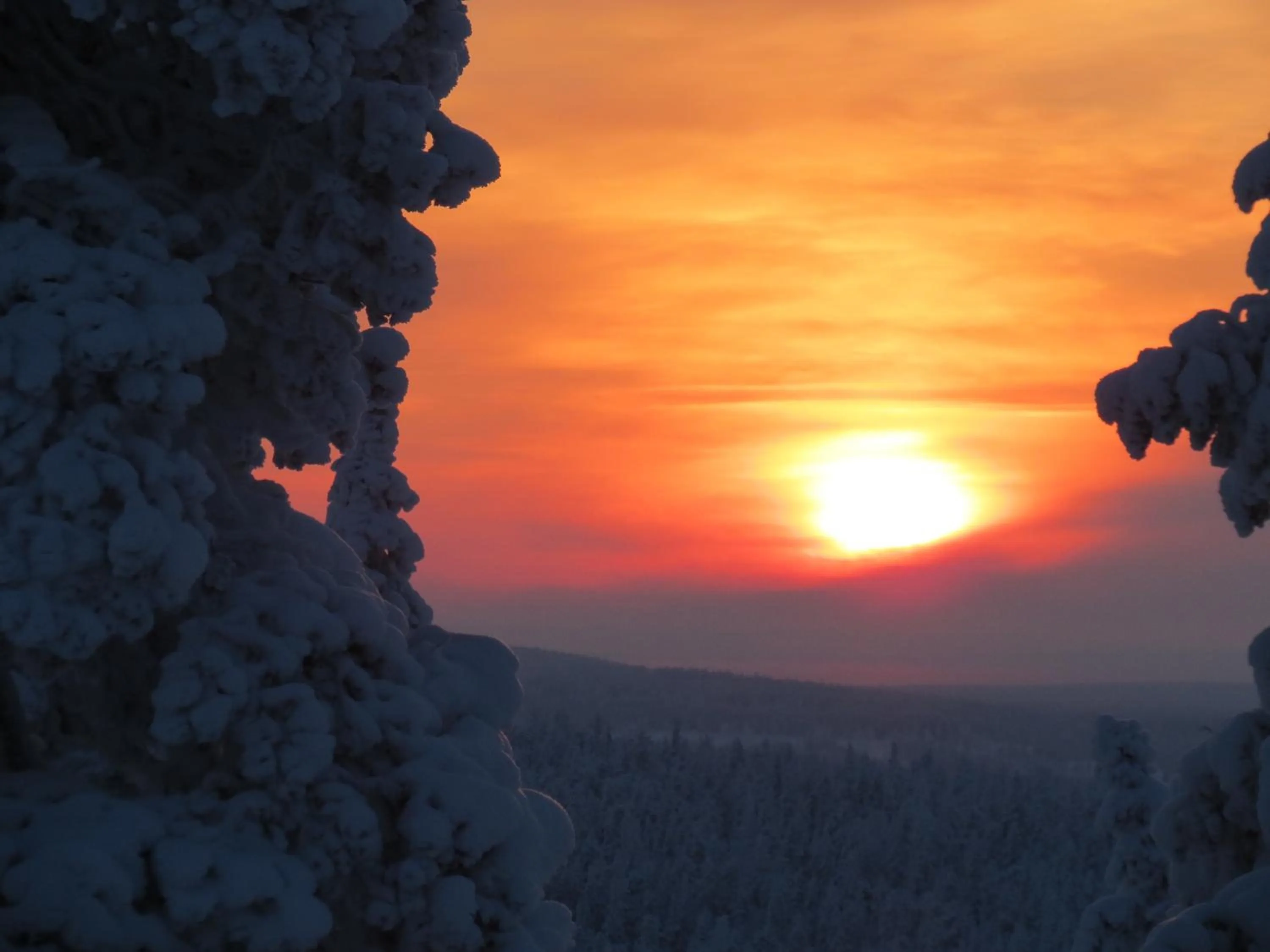Natural landscape in Hotel Ylläsrinne