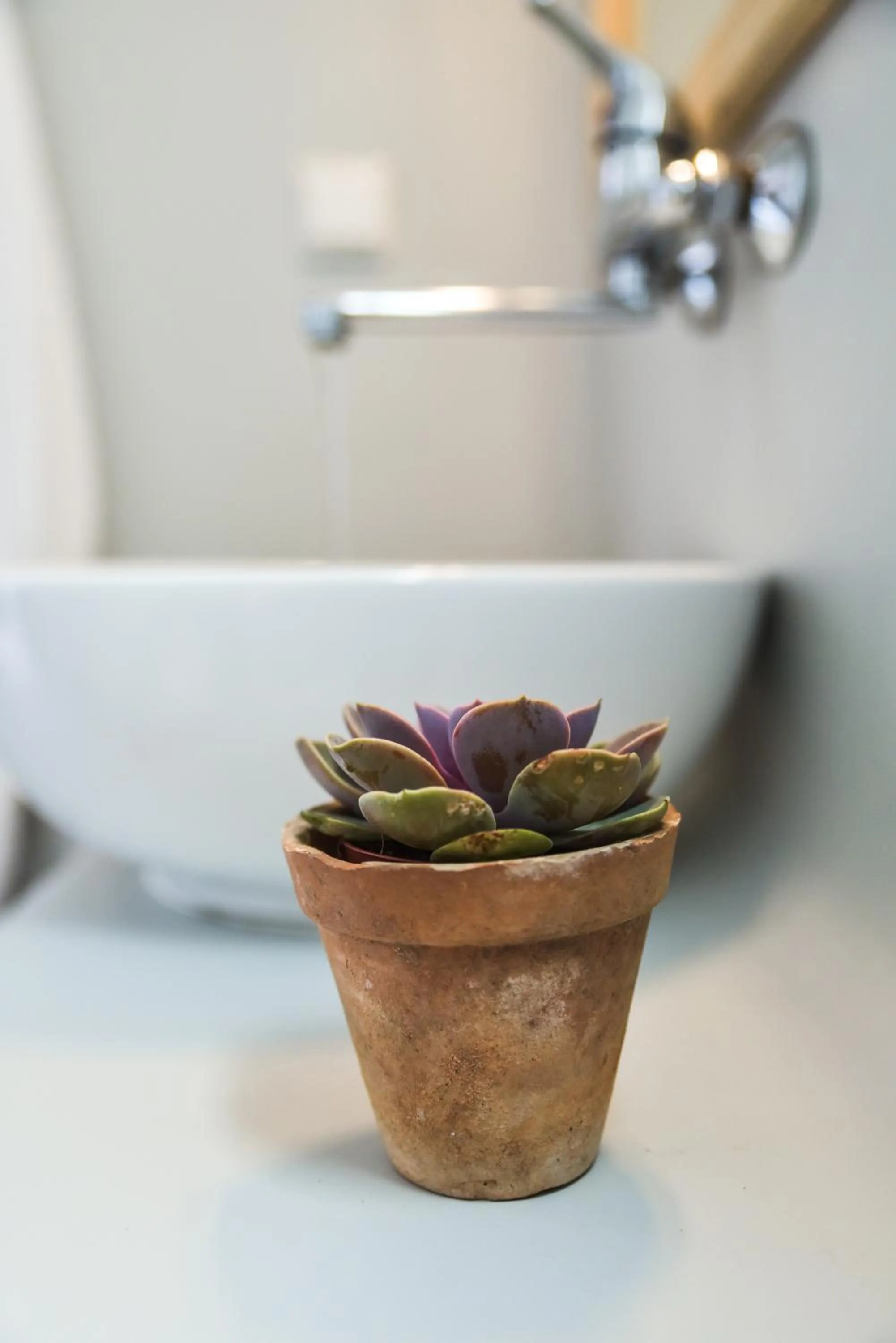 Decorative detail in Cavos