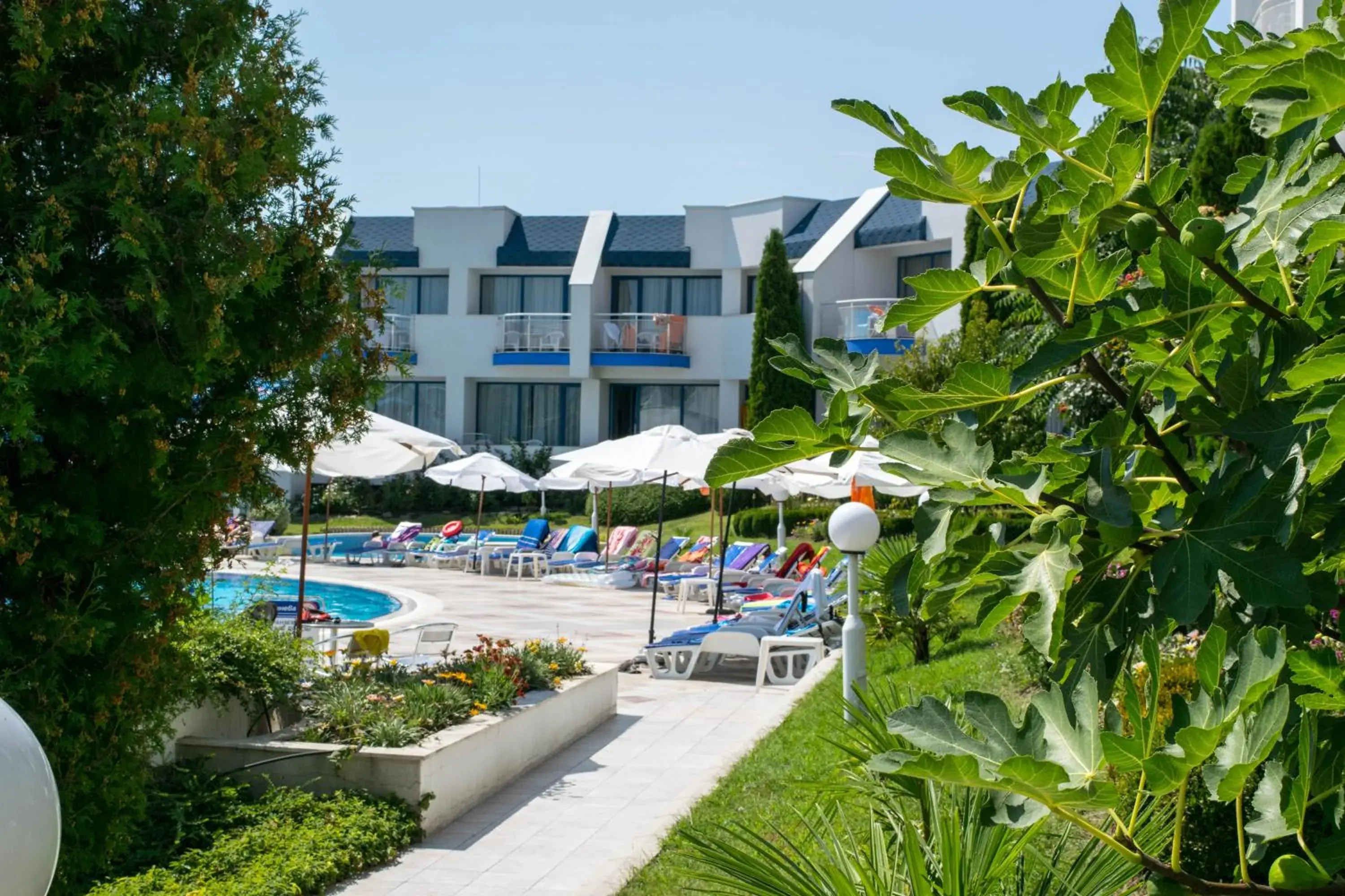 Double Room (2 Adults + 1 Child ) in Sineva Park Hotel - All Inclusive Double Room (2 Adults + 1 Child ) in Sineva Park Hotel - All Inclusive