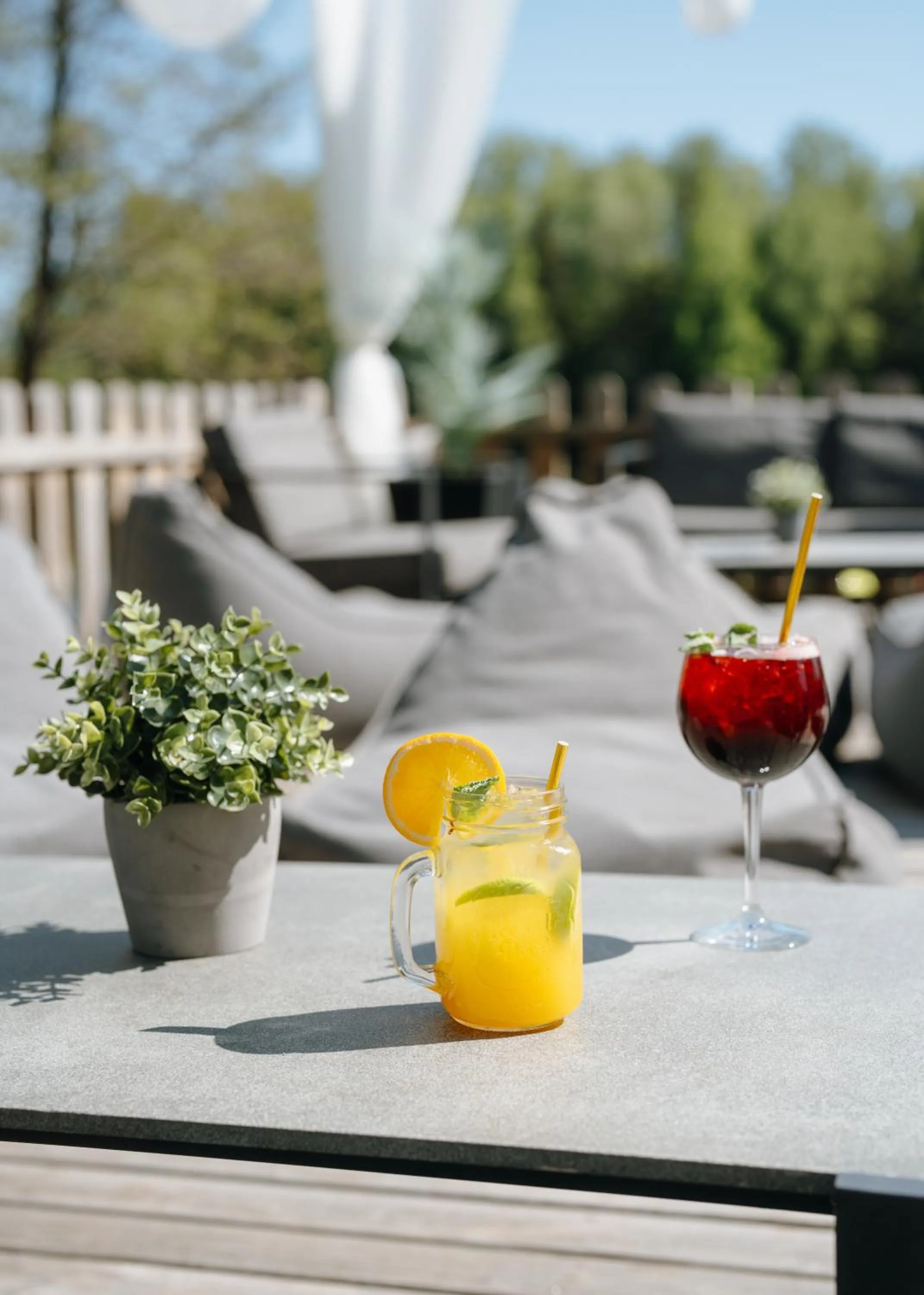 Patio in Hotel Waltikka