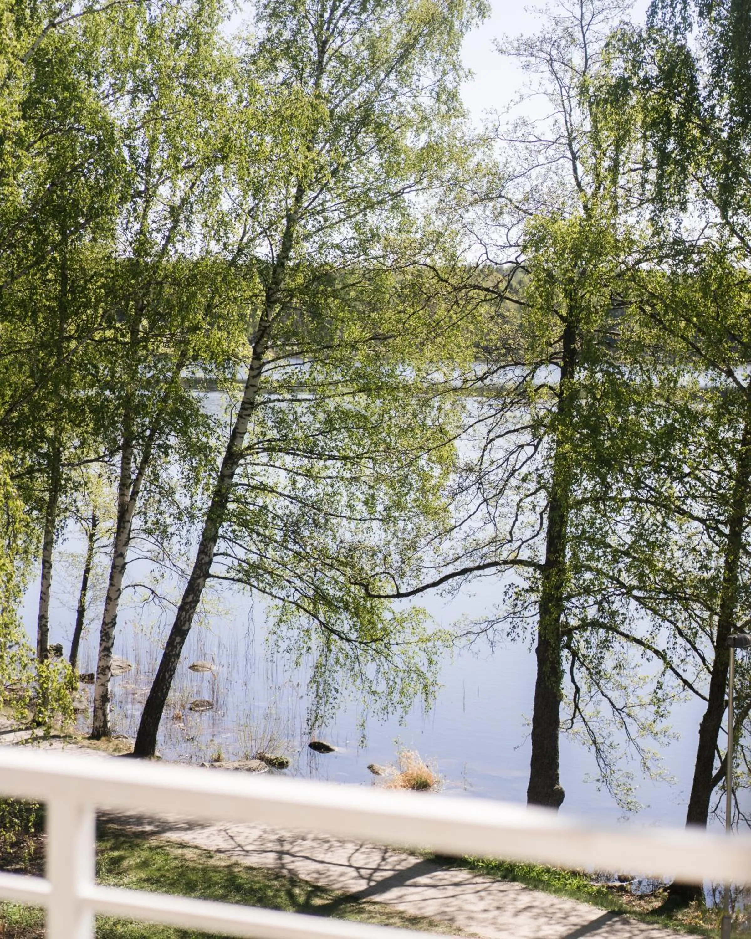 Lake view in Hotel Waltikka