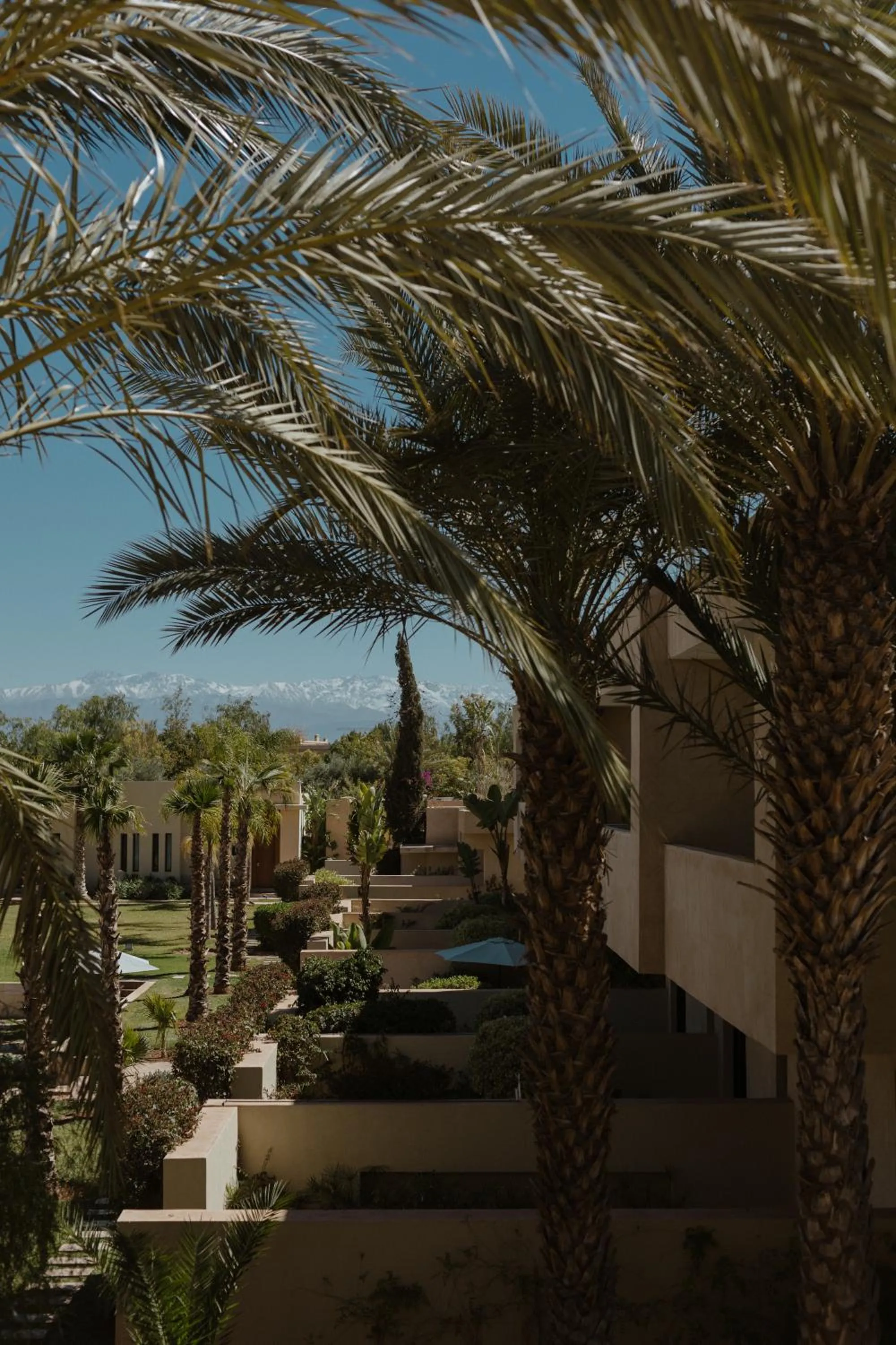 Garden in Sirayane Boutique Hotel & Spa Marrakech