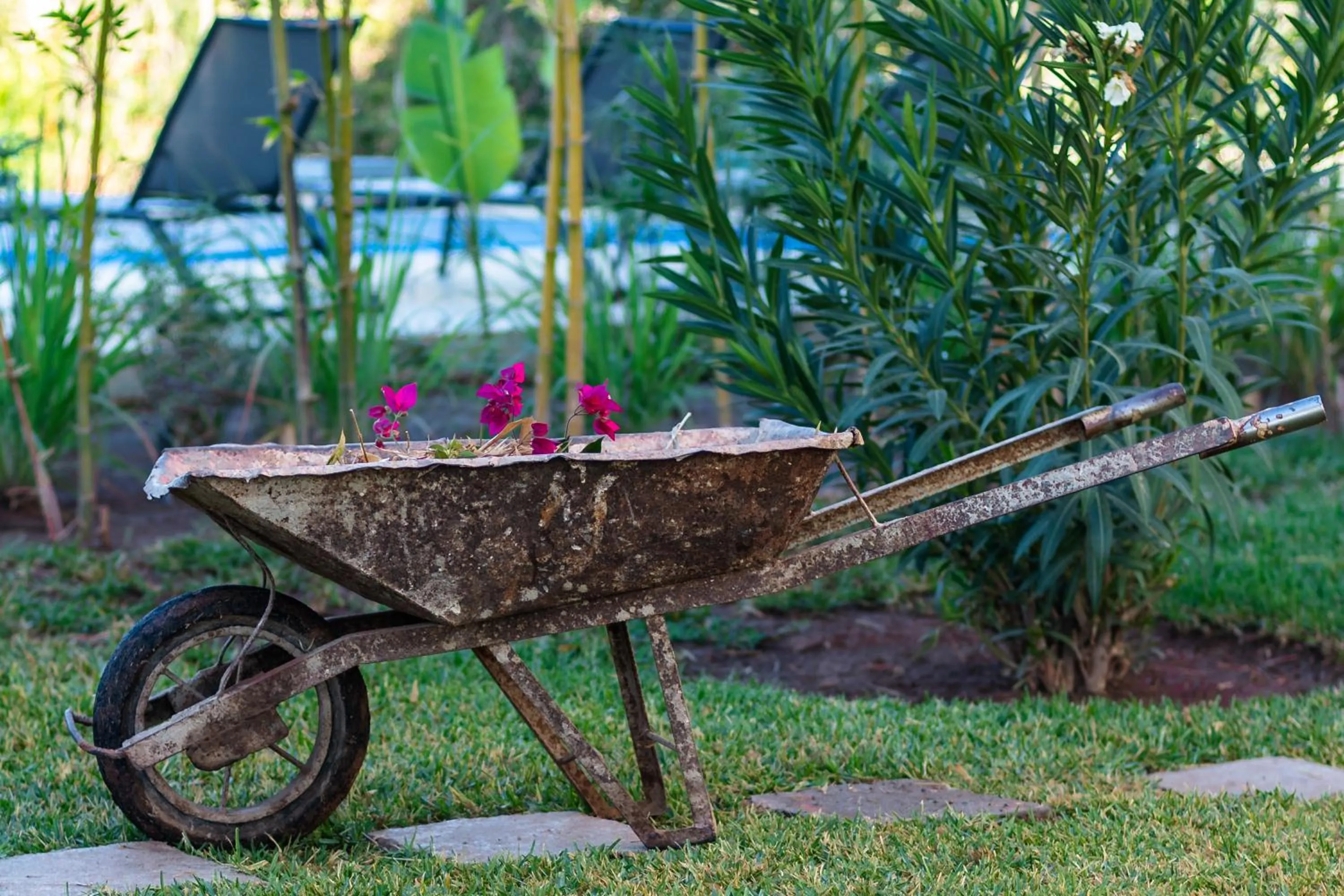 Garden in Sirayane Boutique Hotel & Spa Marrakech