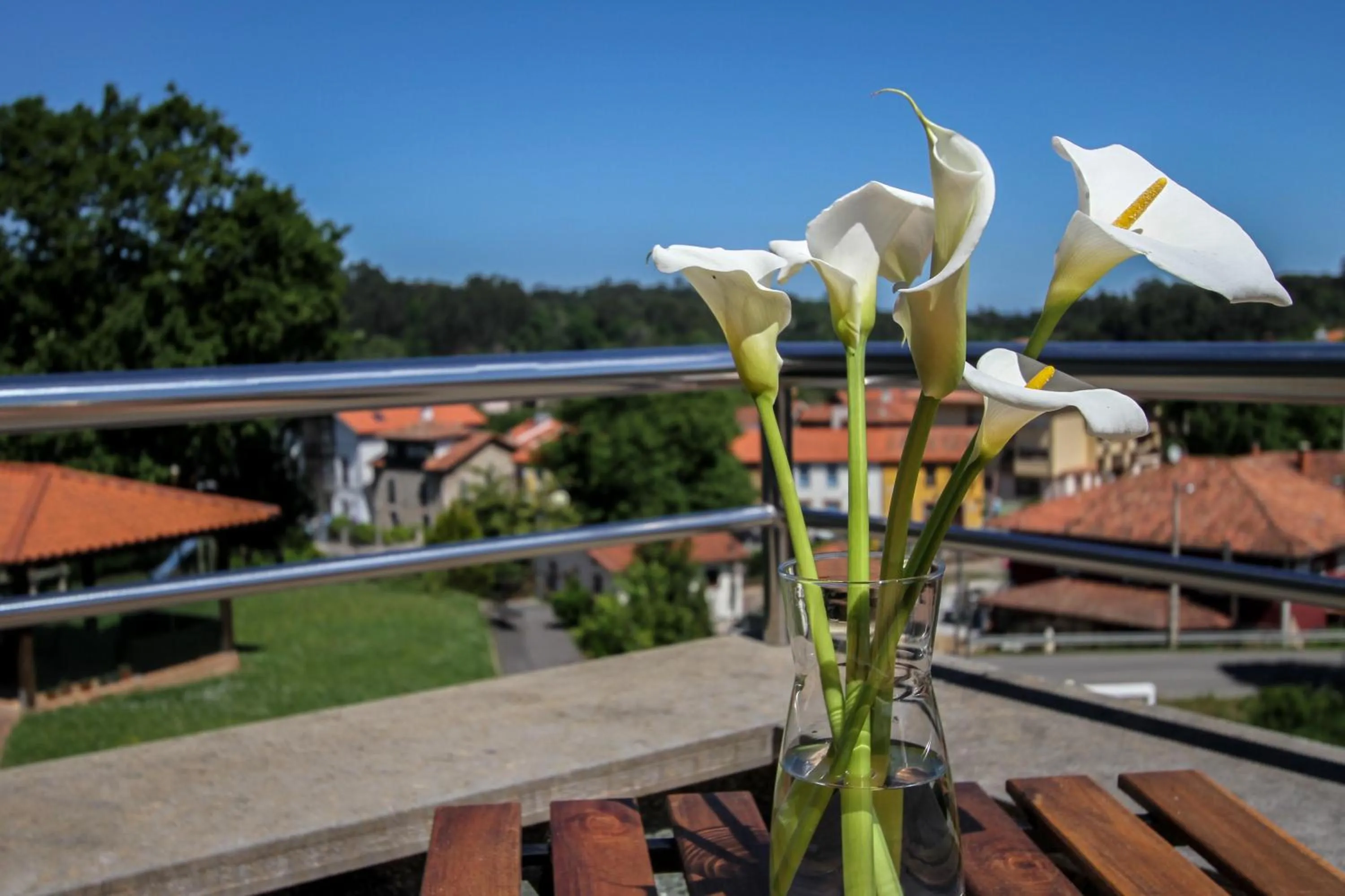 Balcony/Terrace in Hotel San Jorge