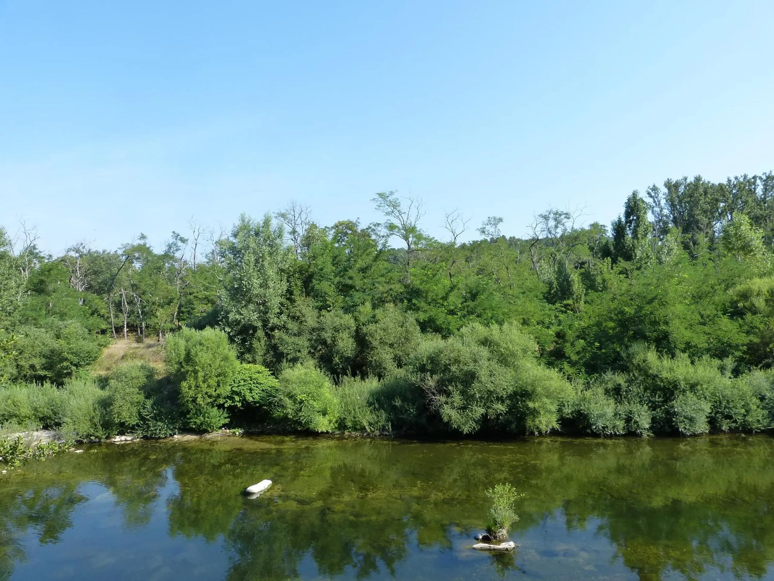 Natural landscape in Logis Hôtel Restaurant Les Cèdres