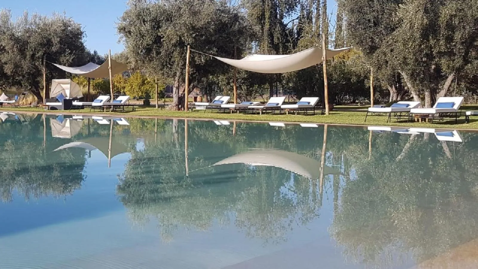 Swimming pool in Les Jardins De Zyriab