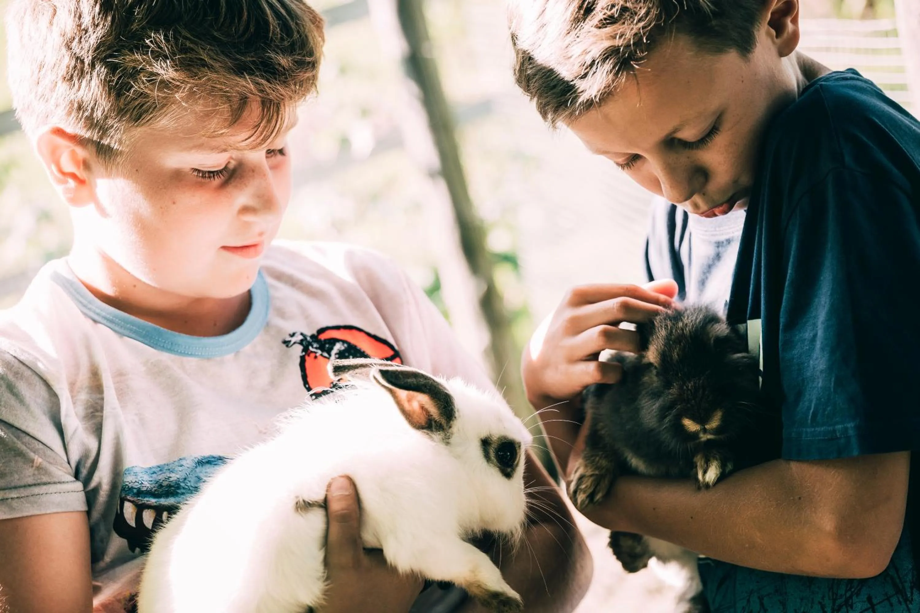 Animals in Kinderhotel Stegerhof