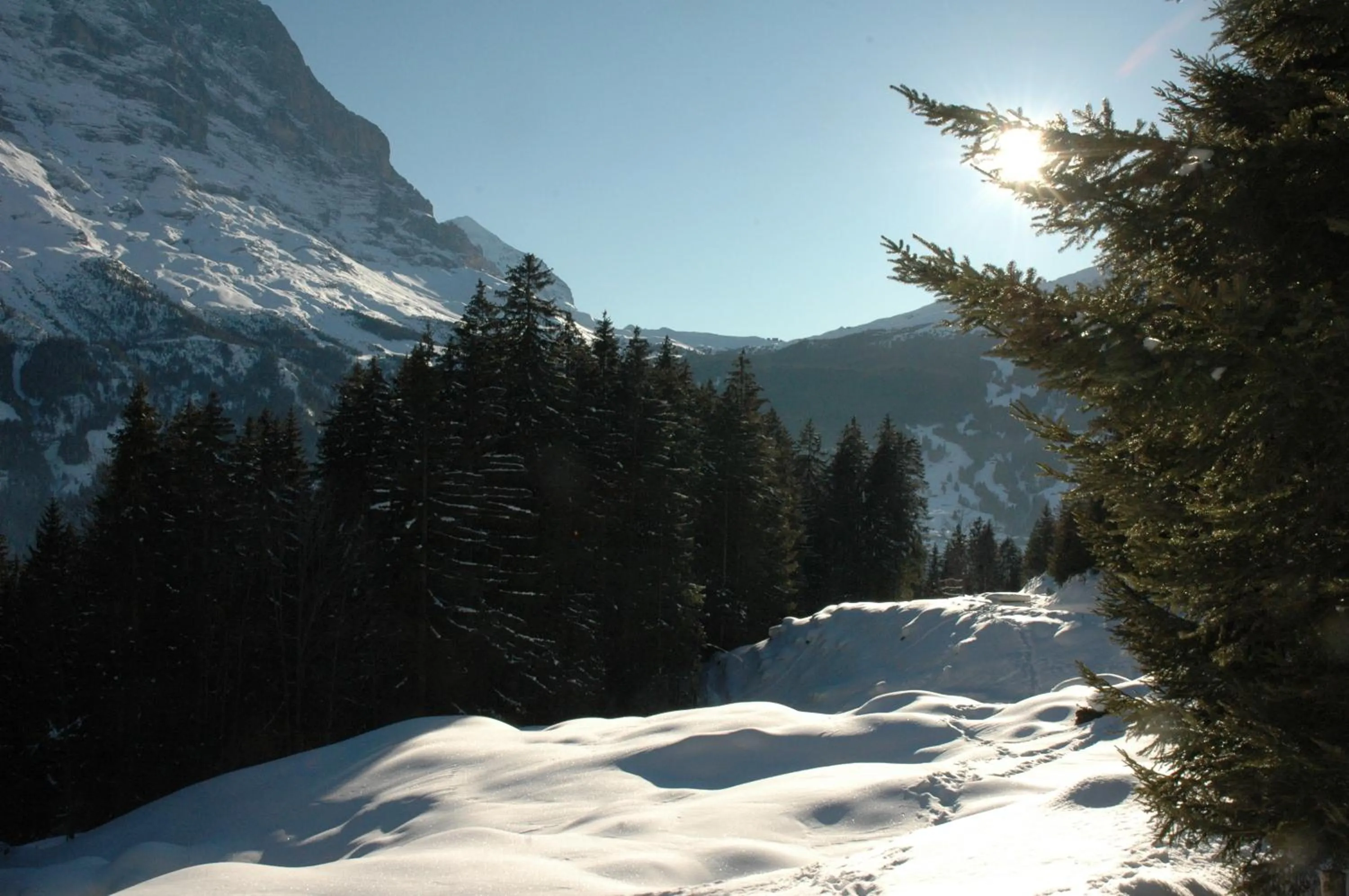 View (from property/room) in Alpenhof