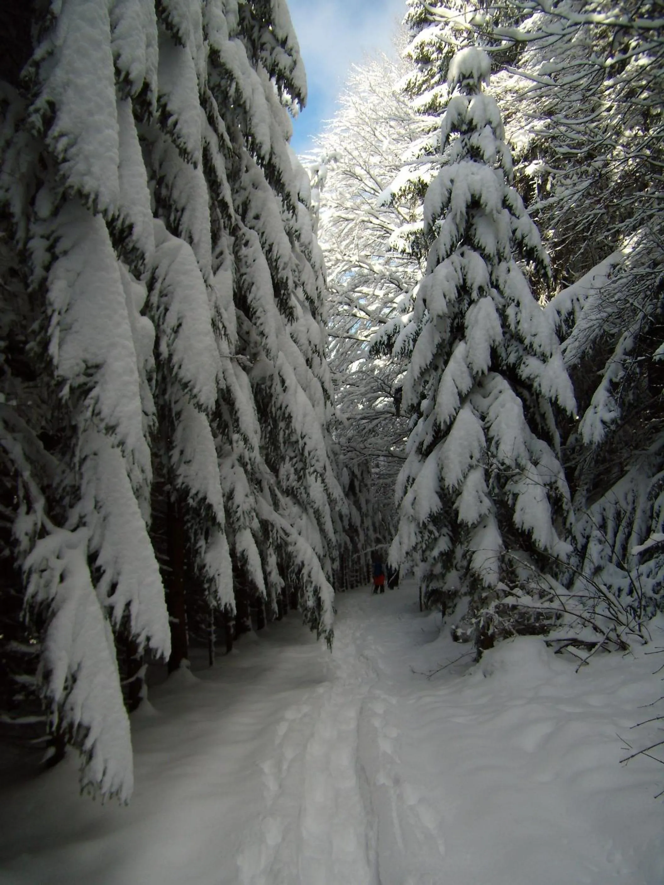 Area and facilities in Vogl's Nest