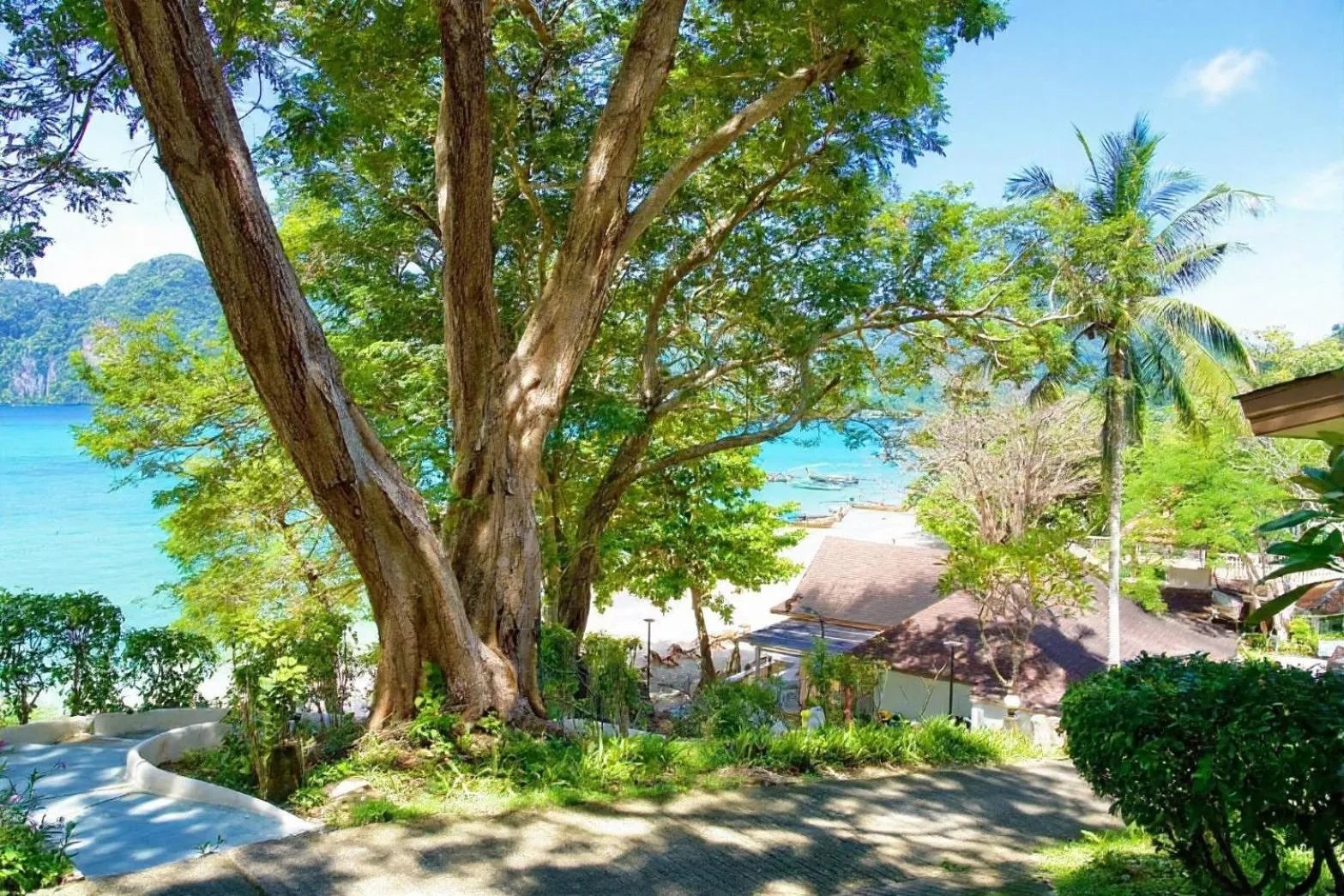 View (from property/room) in Bayview Resort Phi Phi Island - Beach Front Resort