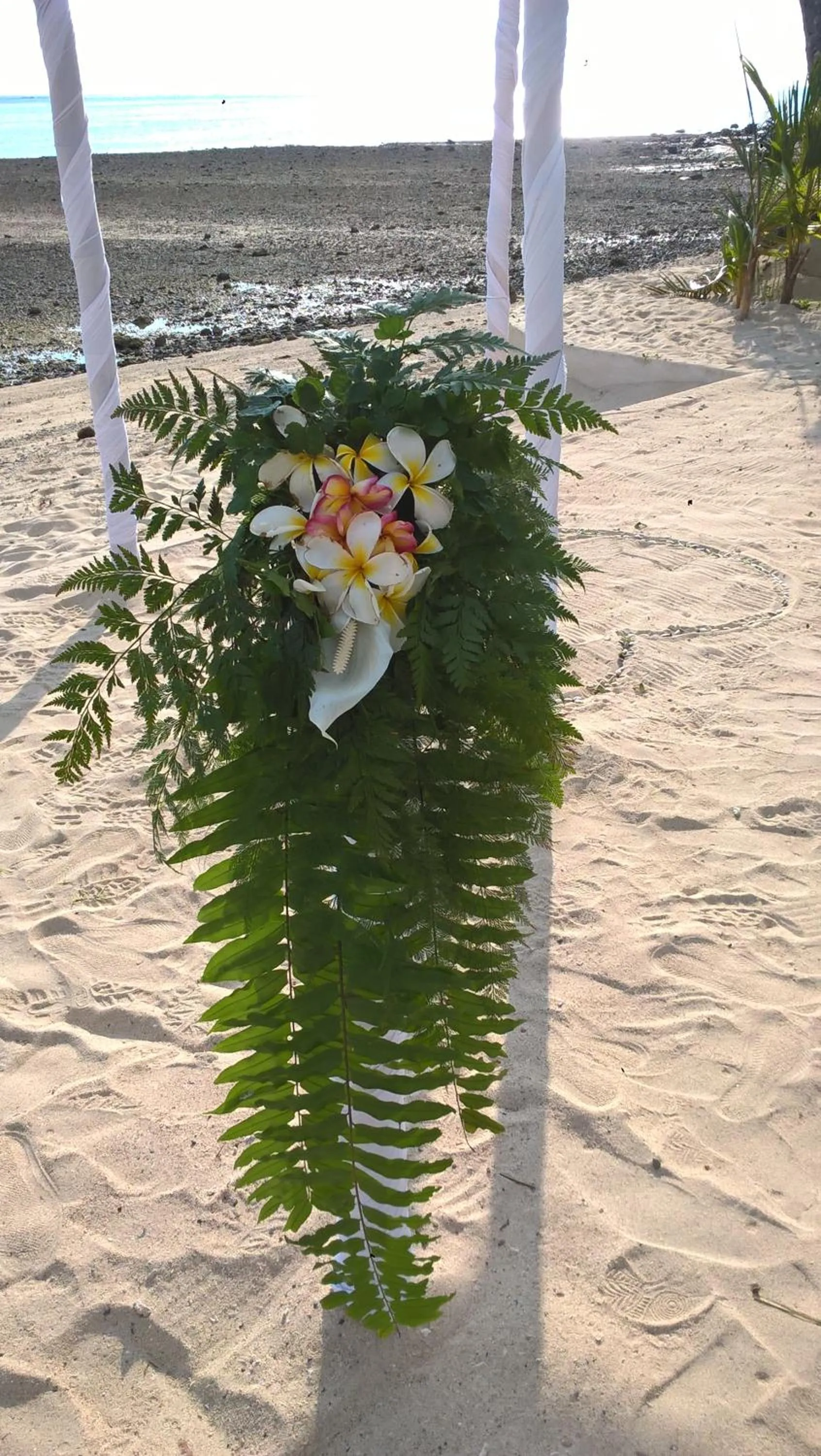 Guests in Mango Bay Resort