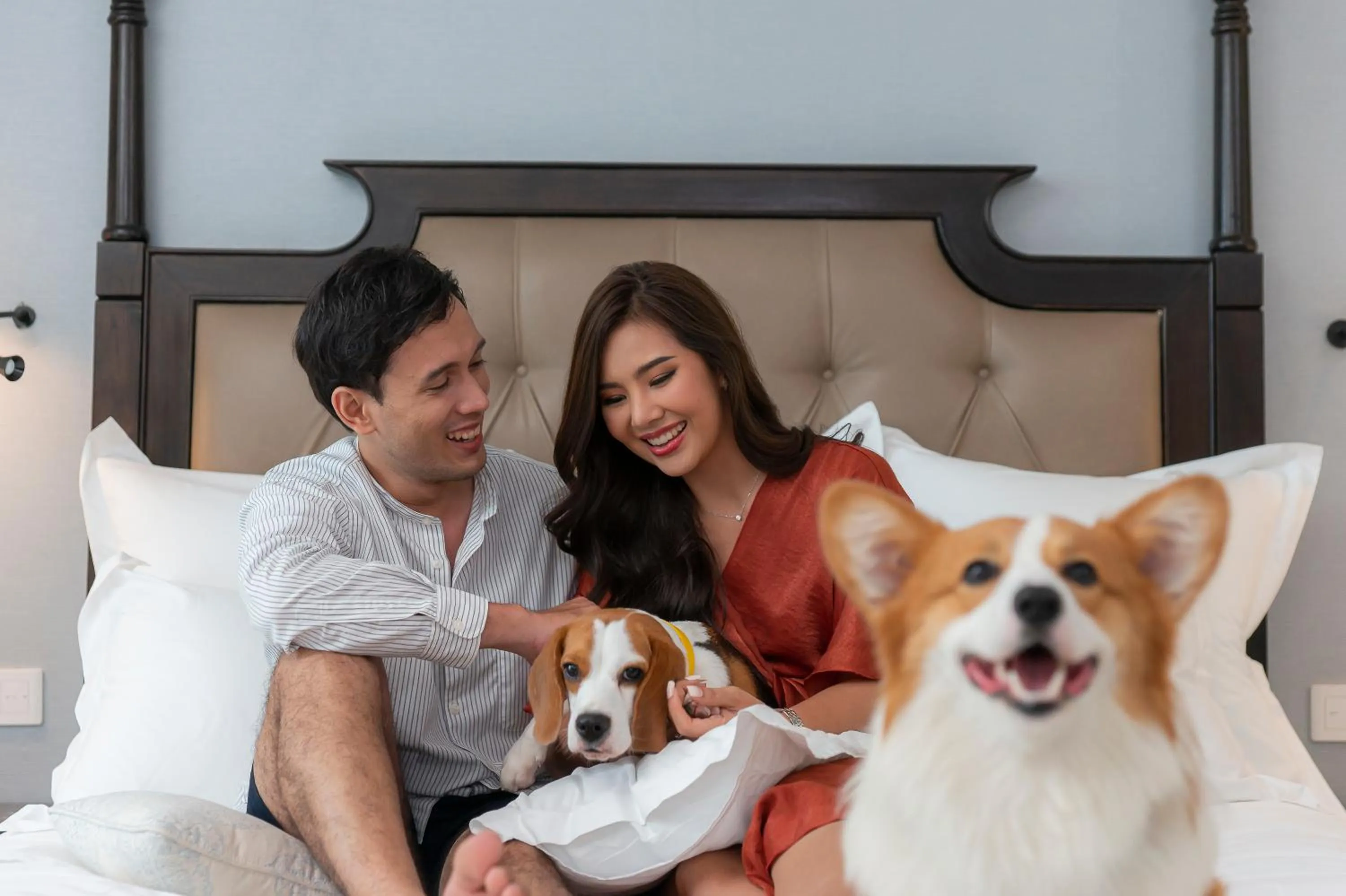 Pets in InterContinental Hua Hin Resort by IHG