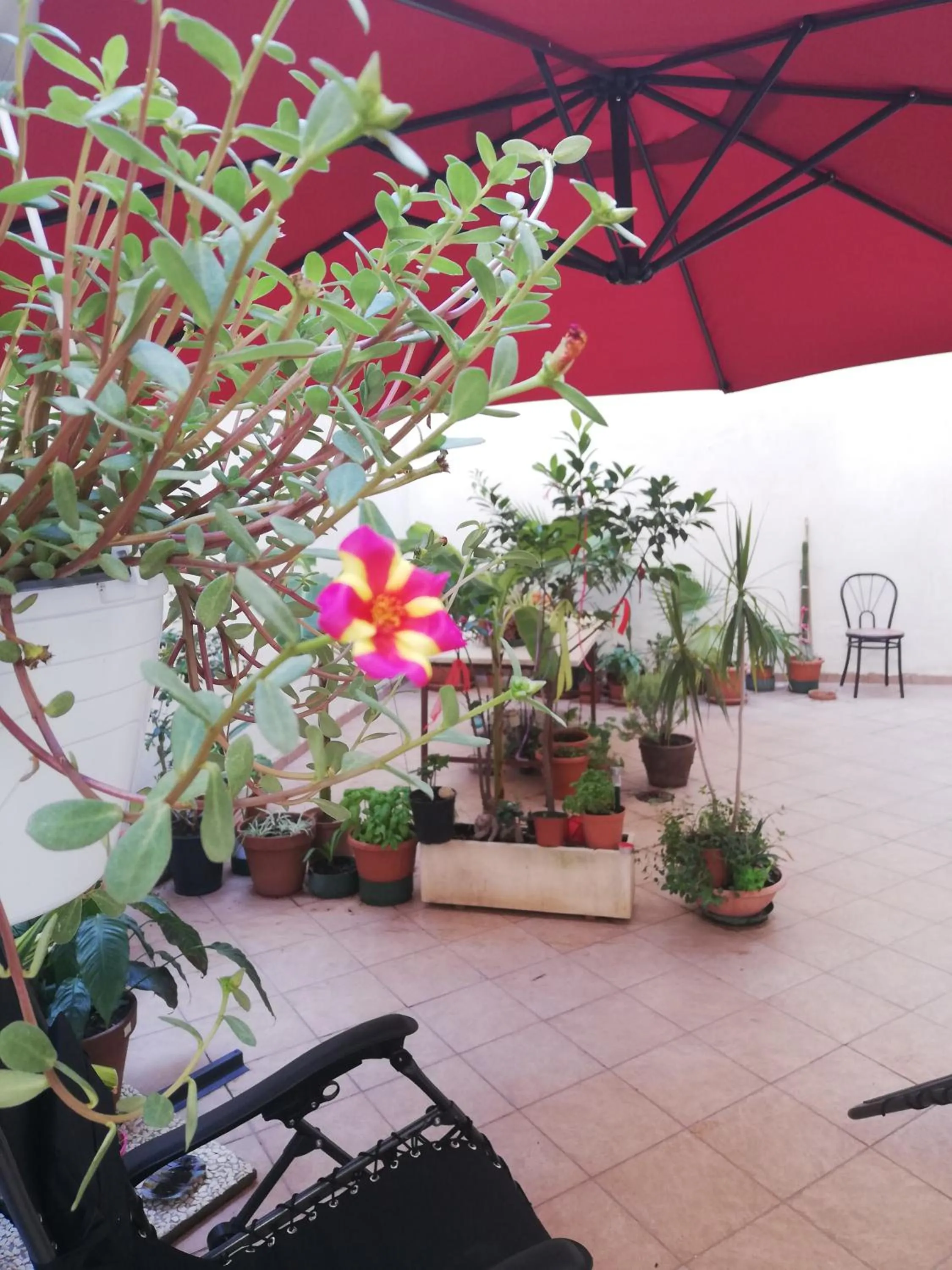 Guglielmo room's B&B