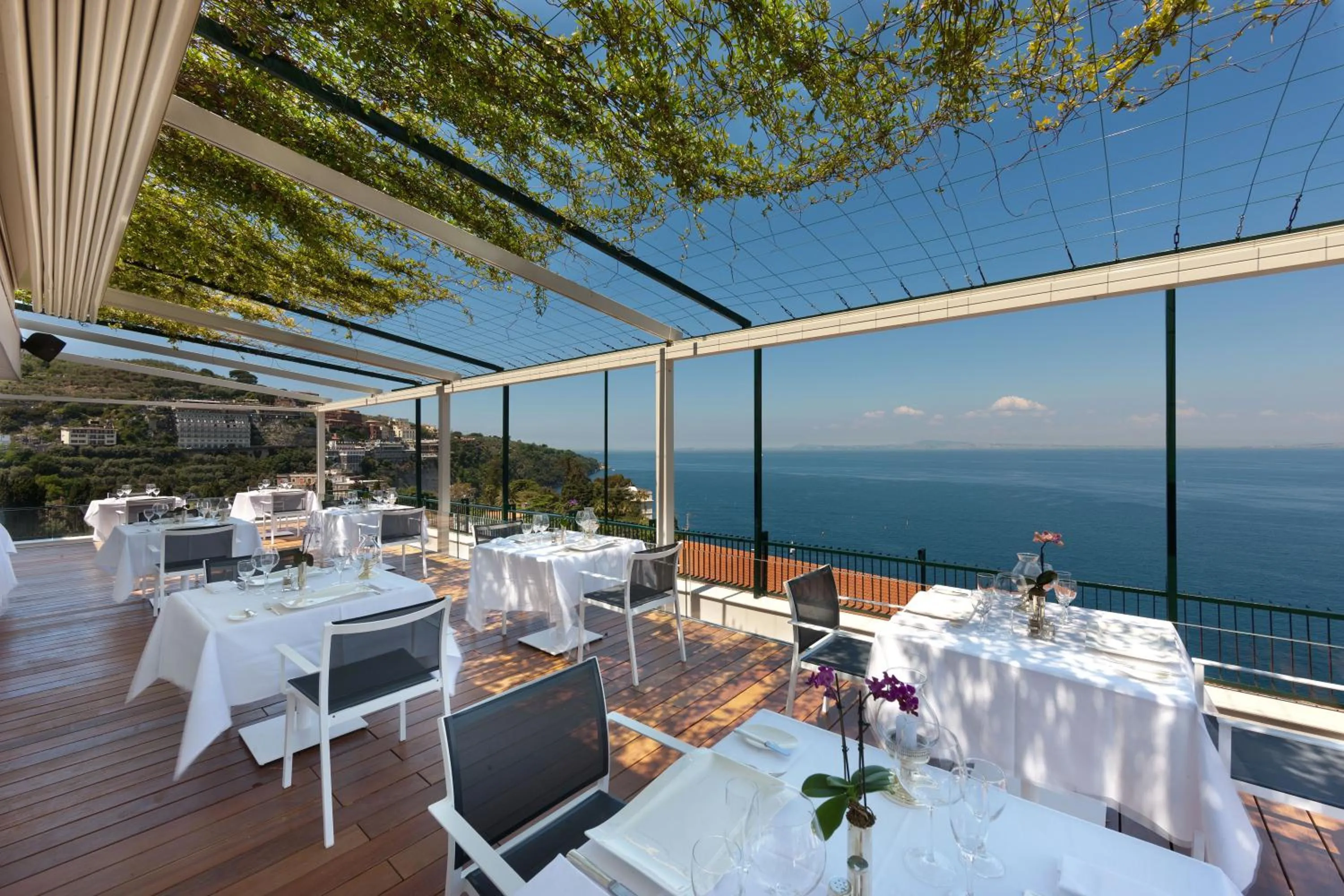 Restaurant/places to eat in Hotel Continental