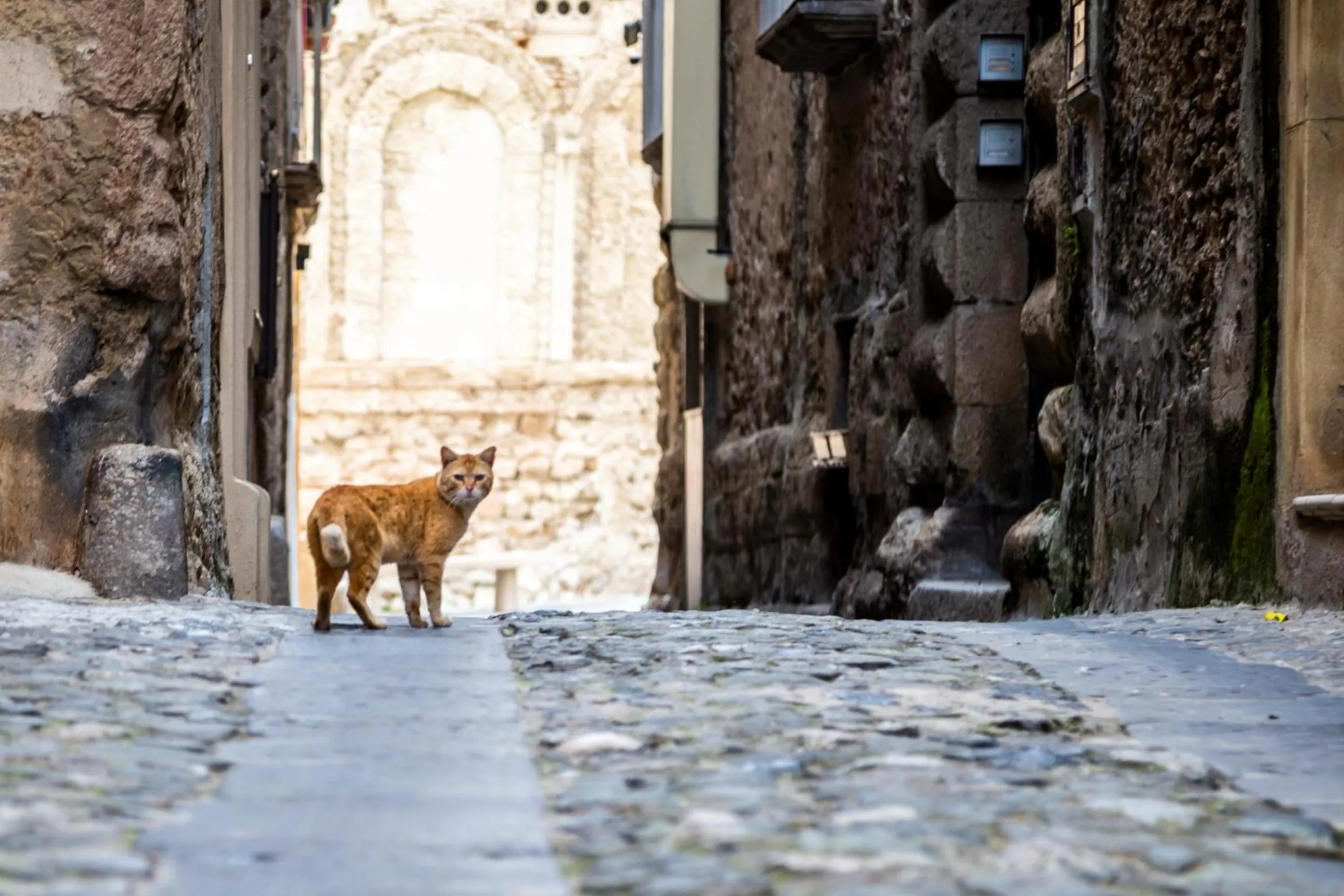 Other in Suites Pastis Tropea - Boutique B&B by Kalavrìa Holidays