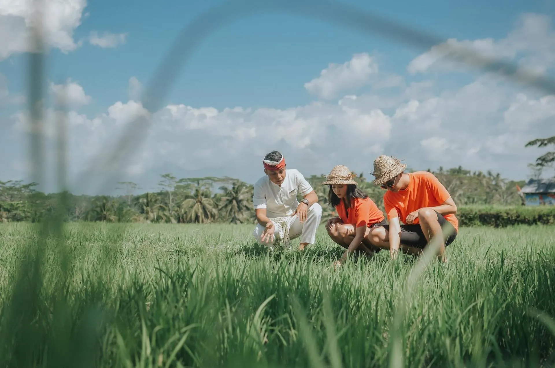 Day in Puri Wulandari A Boutique Resort & Spa