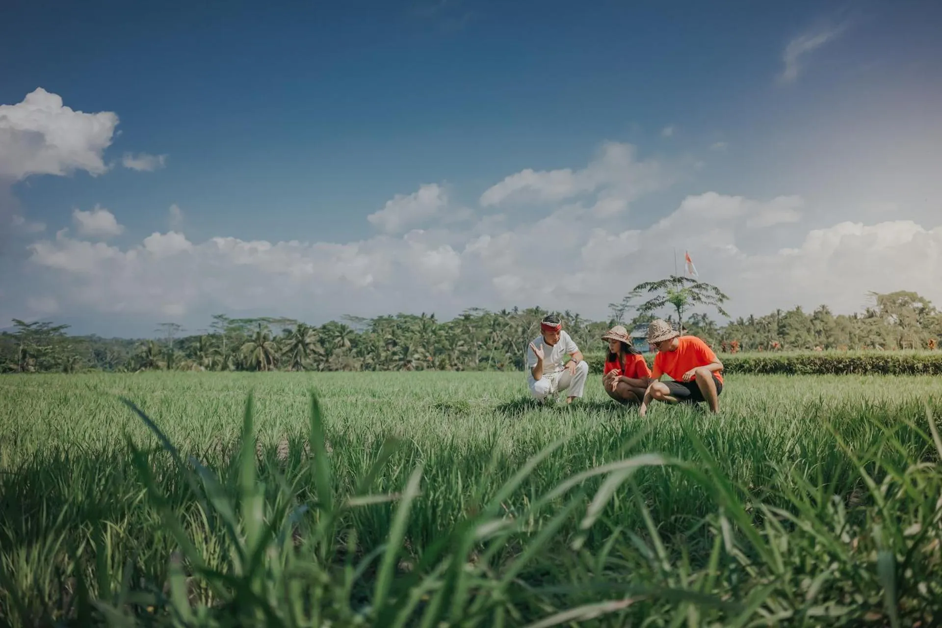 Day in Puri Wulandari A Boutique Resort & Spa