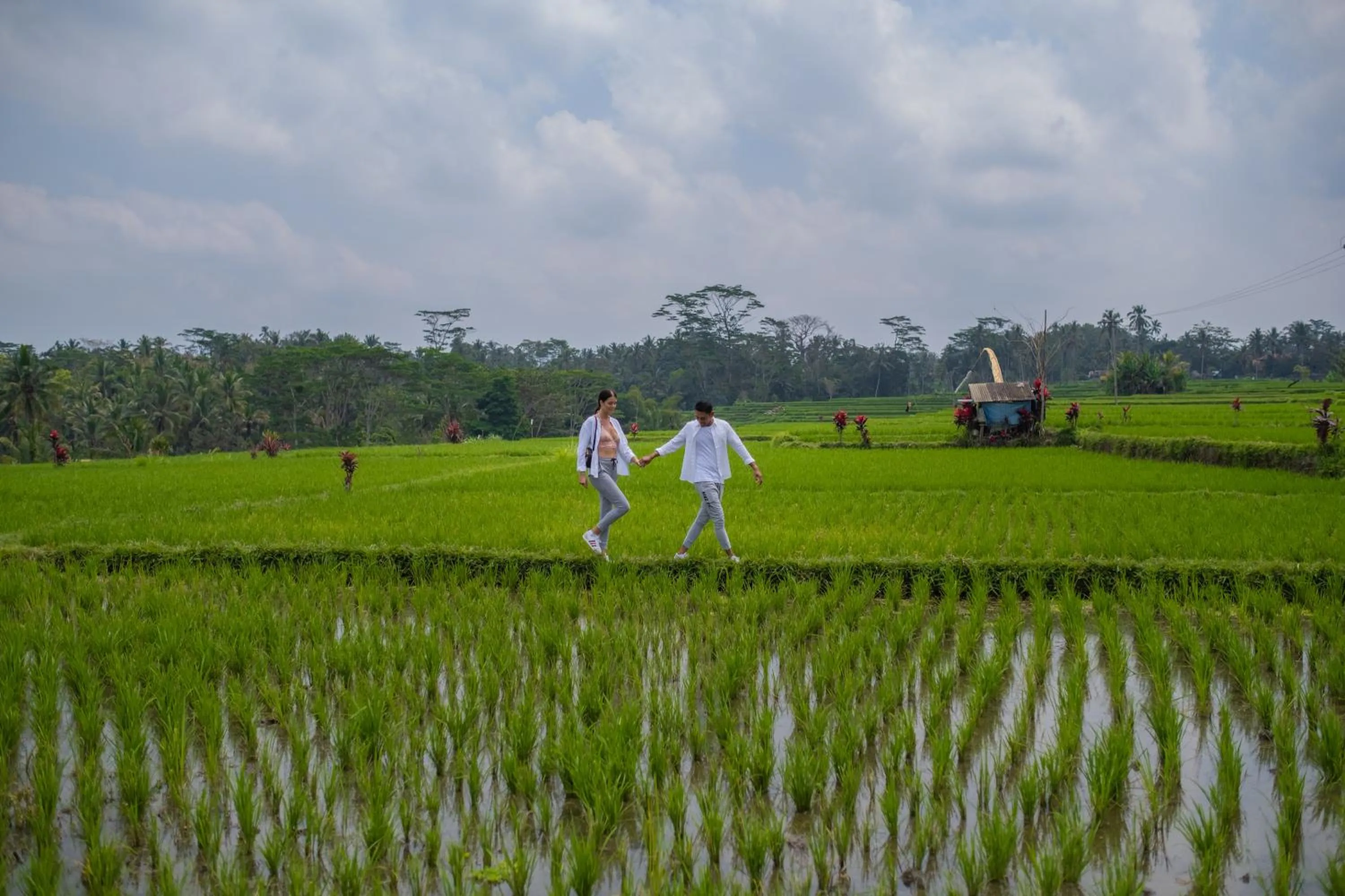 Activities in Puri Wulandari A Boutique Resort & Spa