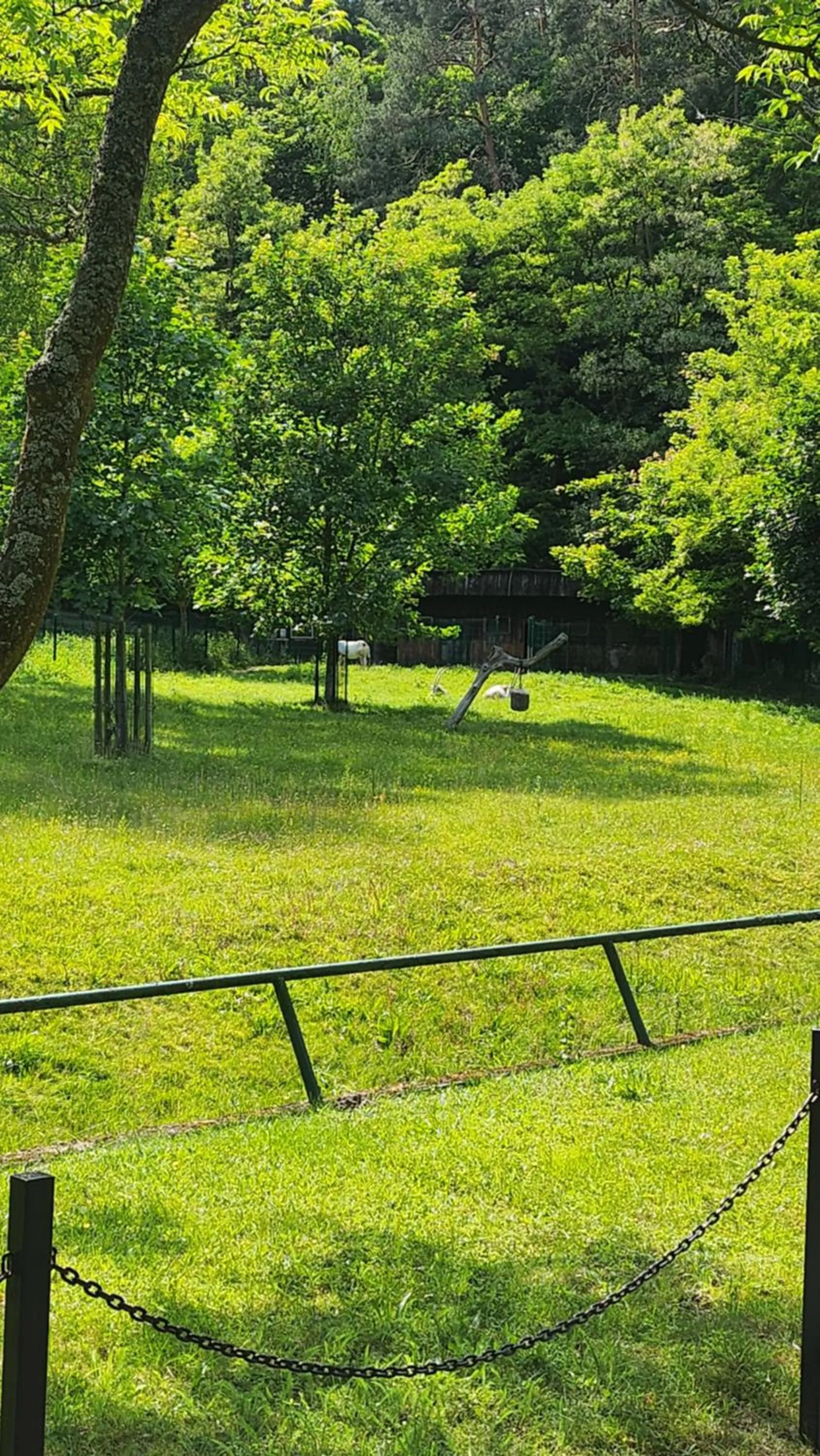 Spring in Villa Pallas