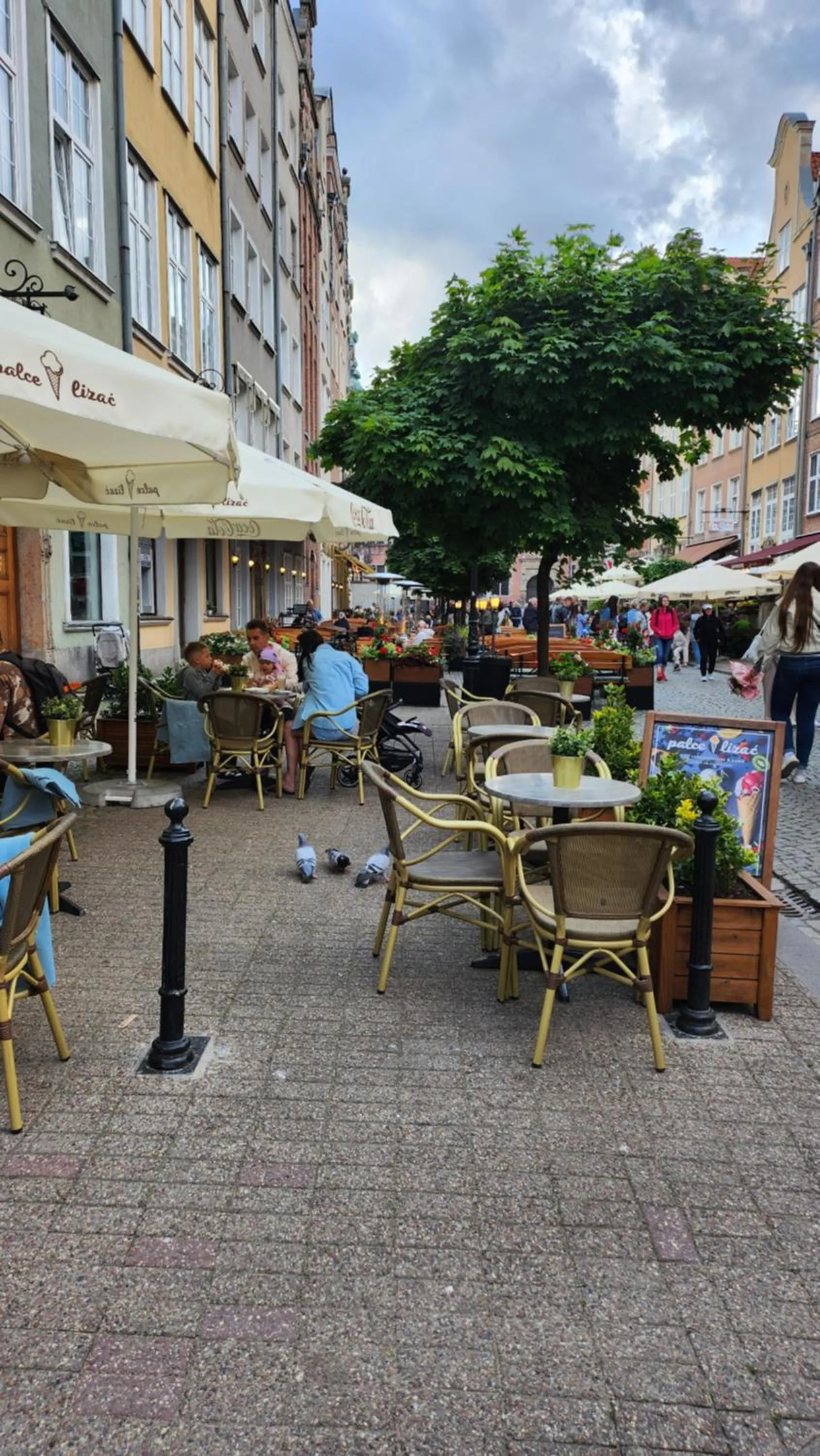 Neighbourhood in Villa Pallas