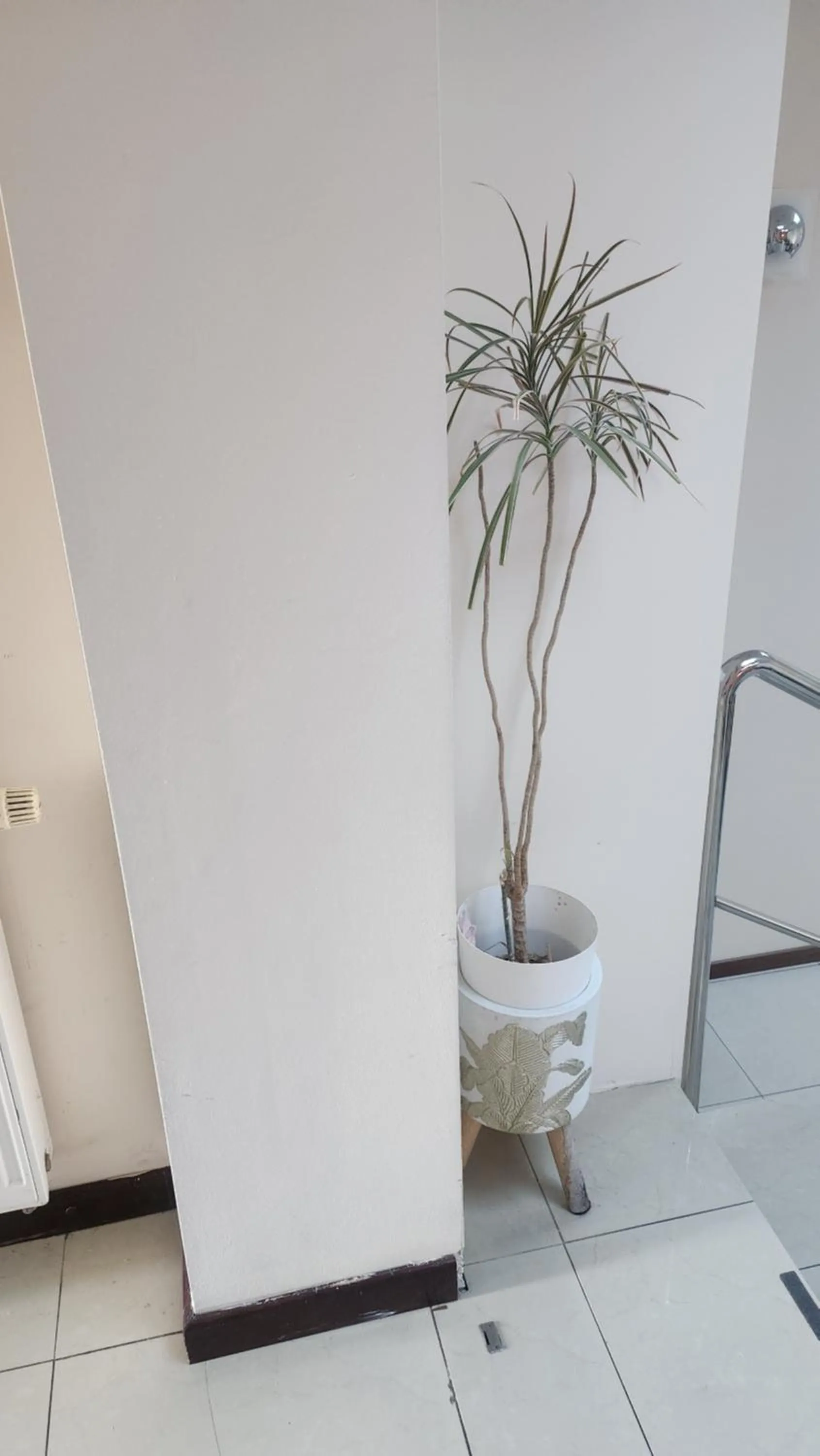 Lobby or reception in Villa Pallas