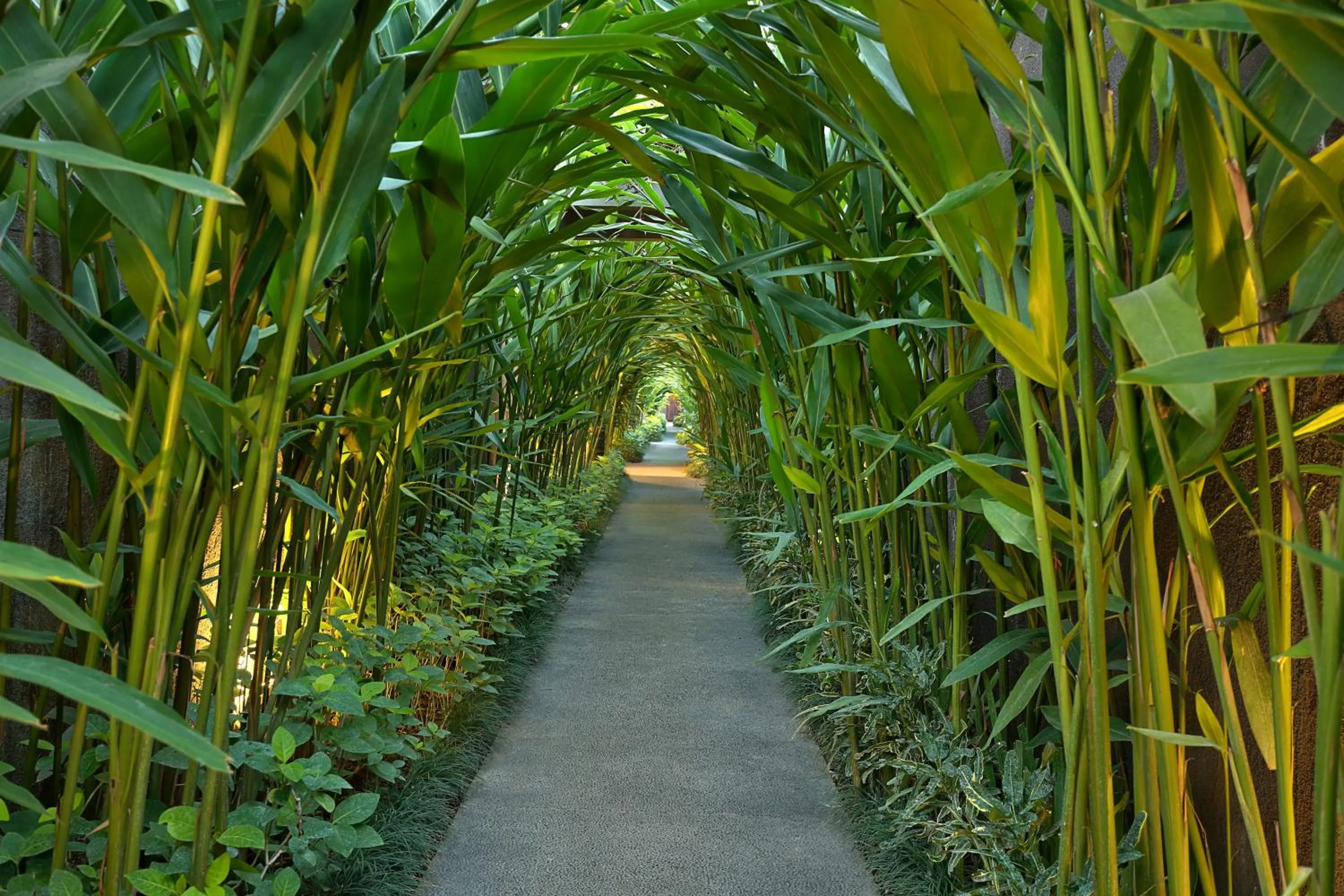 Garden in Ziva a Boutique Villa