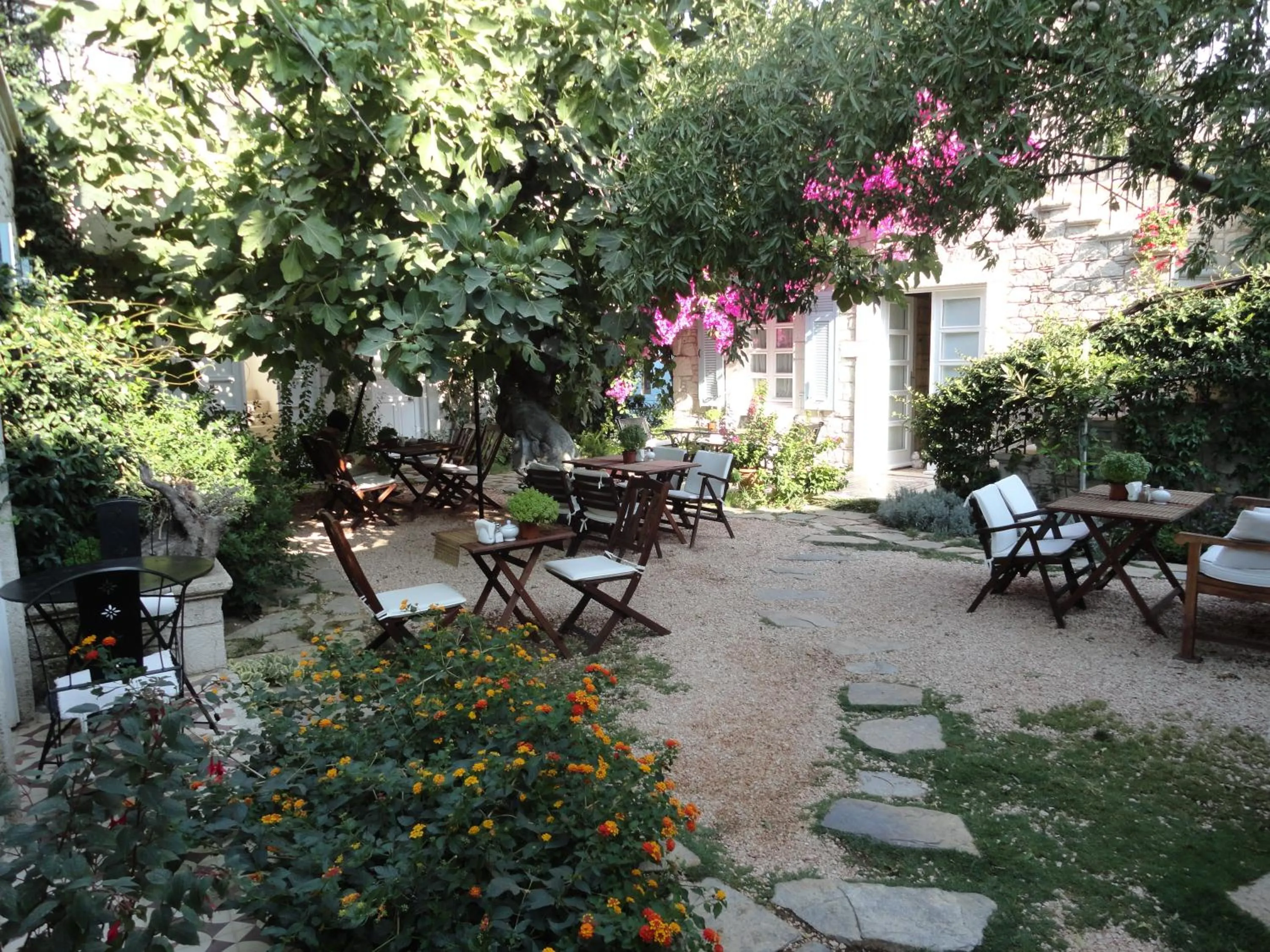 Garden in Incirliev - Special Category