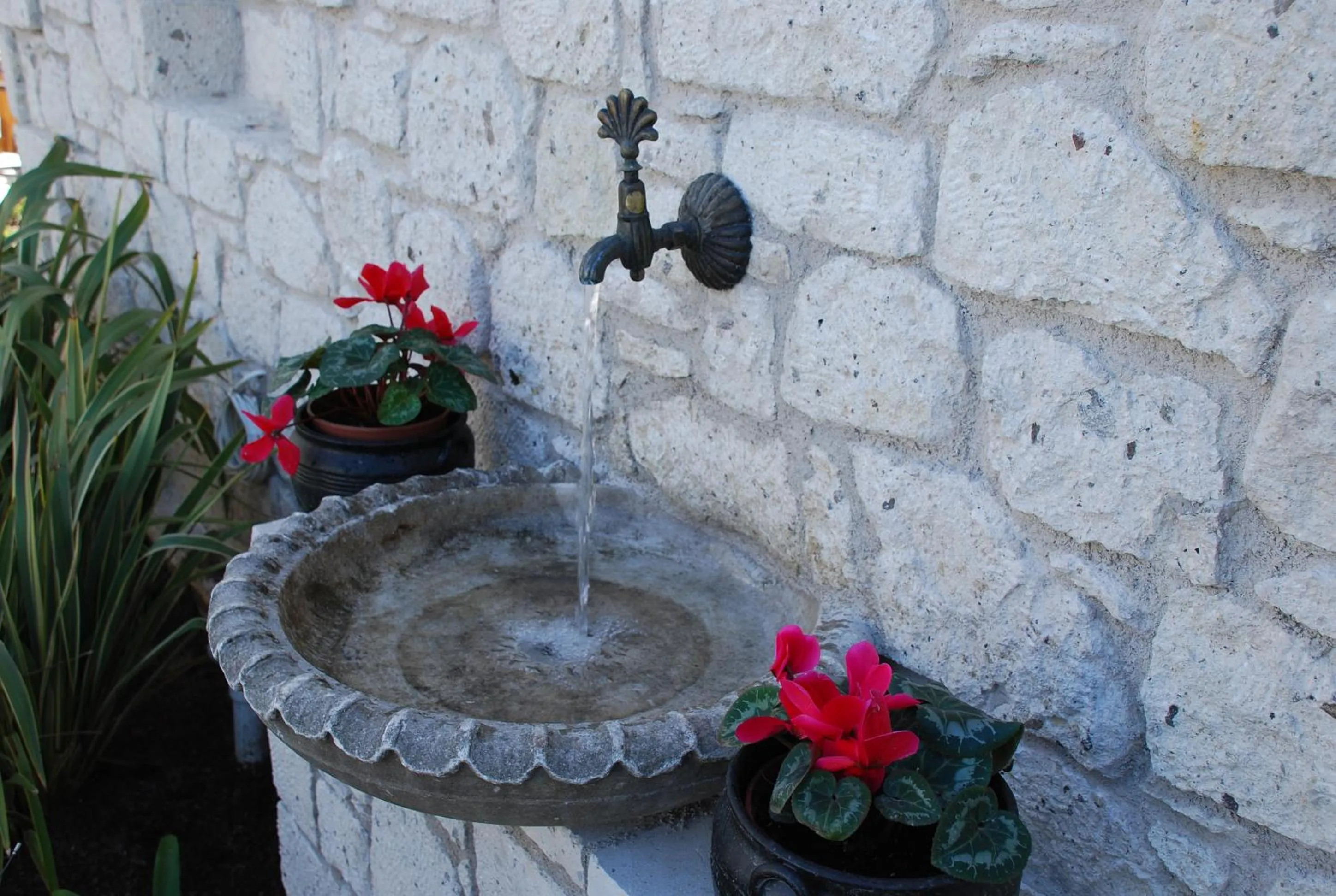 Garden in Incirliev - Special Category